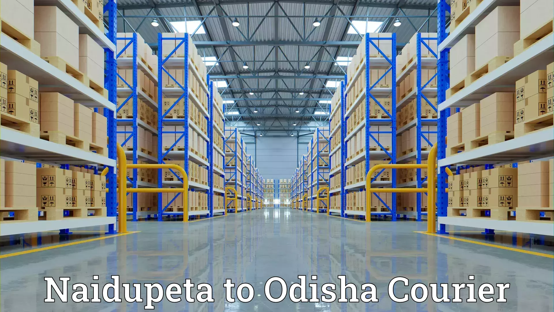 Professional goods transport Naidupeta to Odisha