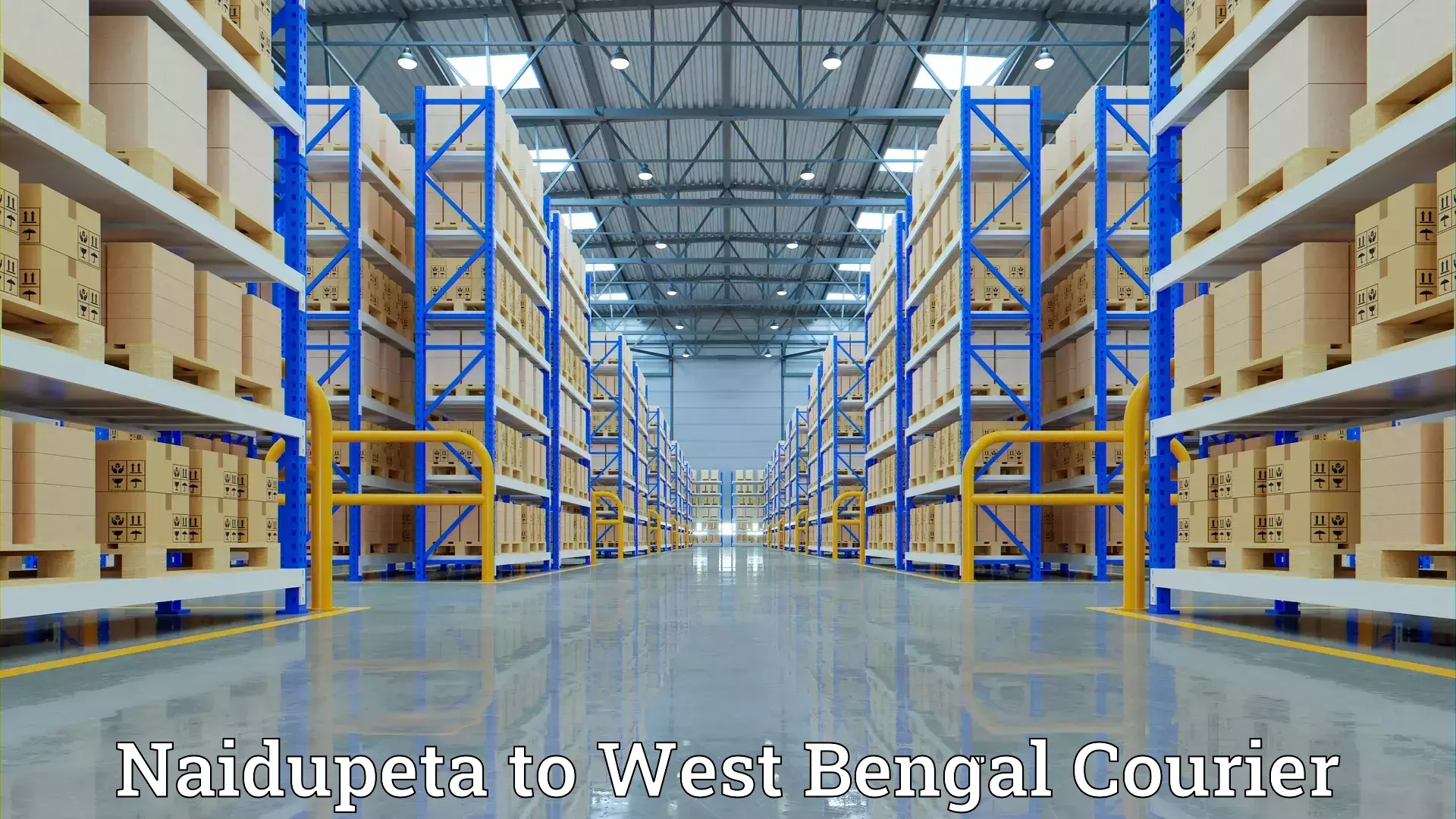 Door-to-door relocation services in Naidupeta to West Bengal