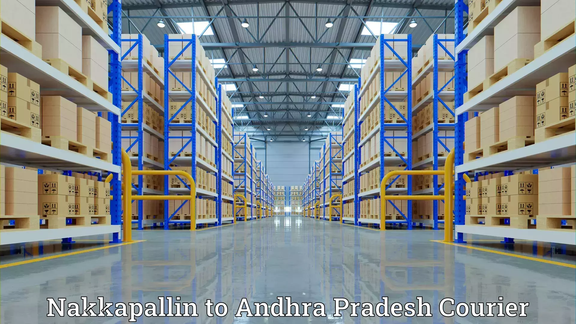 Household goods movers and packers Nakkapallin to Dwaraka Tirumala