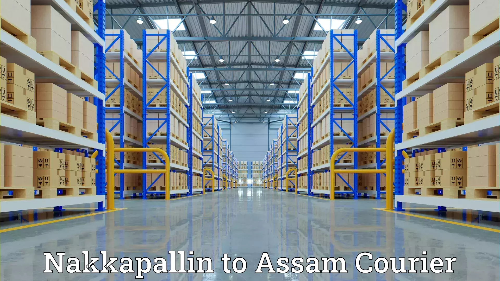 Comprehensive home shifting Nakkapallin to Duliajan