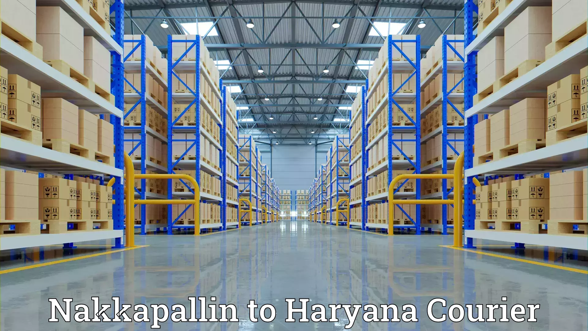 Comprehensive relocation services Nakkapallin to Haryana