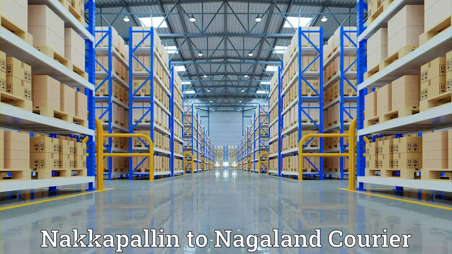 Advanced household relocation Nakkapallin to NIT Nagaland