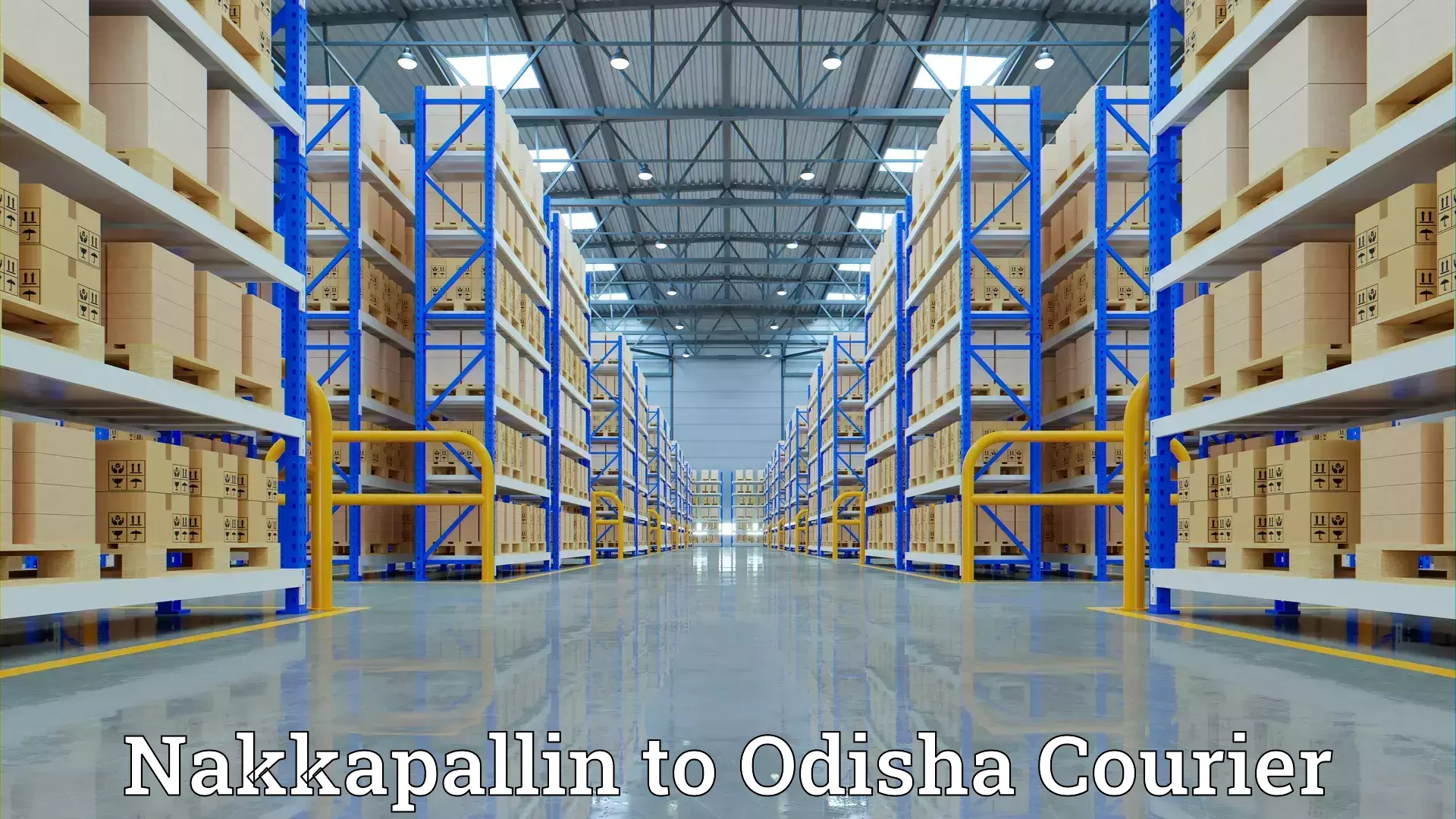 Reliable home shifting Nakkapallin to Angul