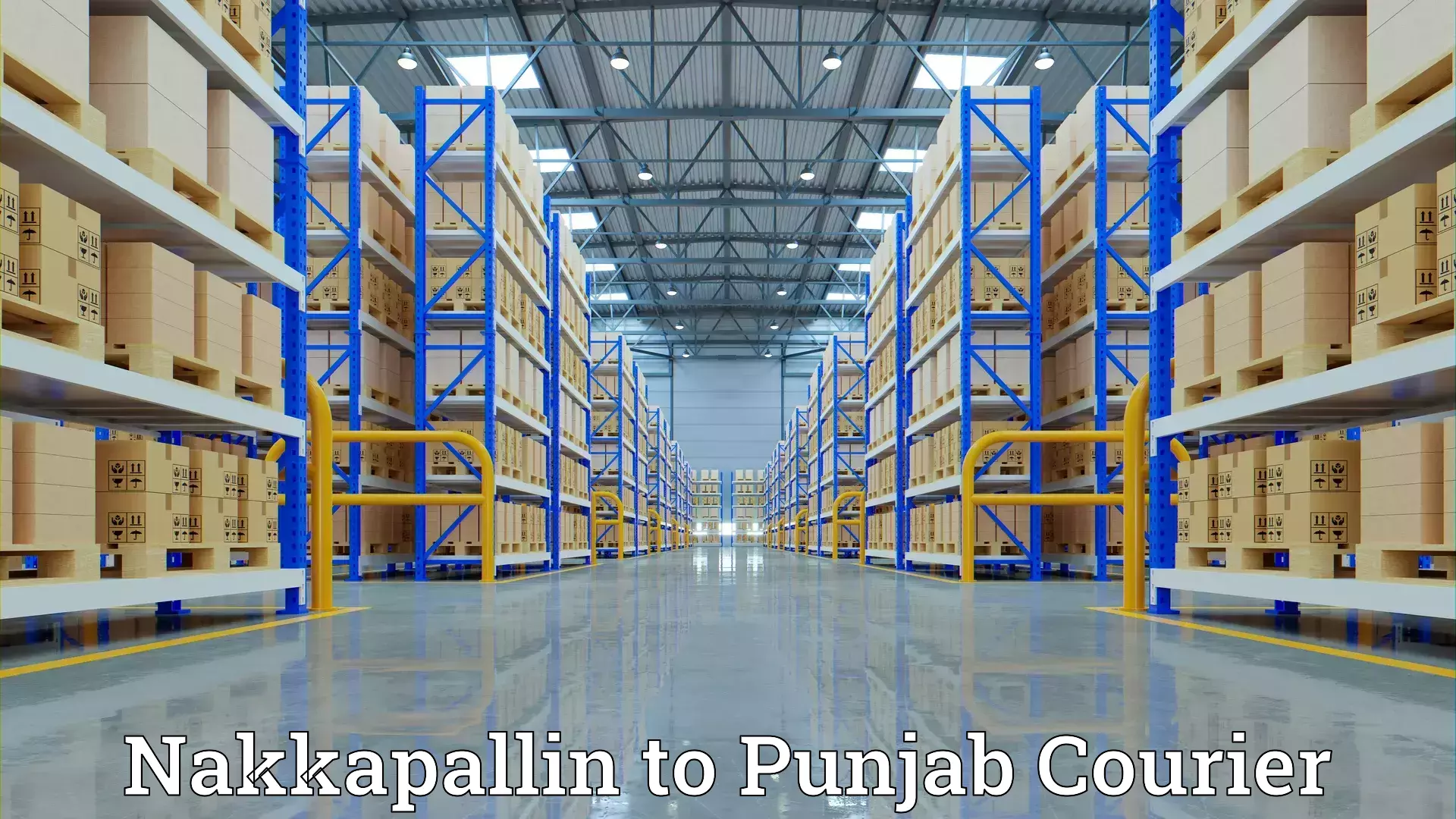 Efficient home movers Nakkapallin to Thapar Institute of Engineering and Technology Patiala