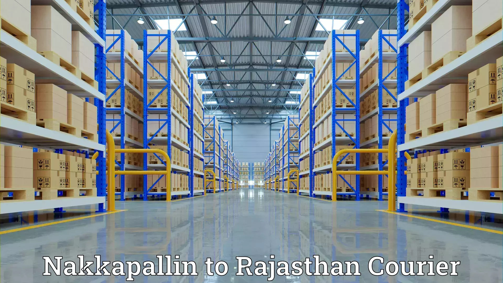 Cost-effective moving solutions Nakkapallin to Rajasthan