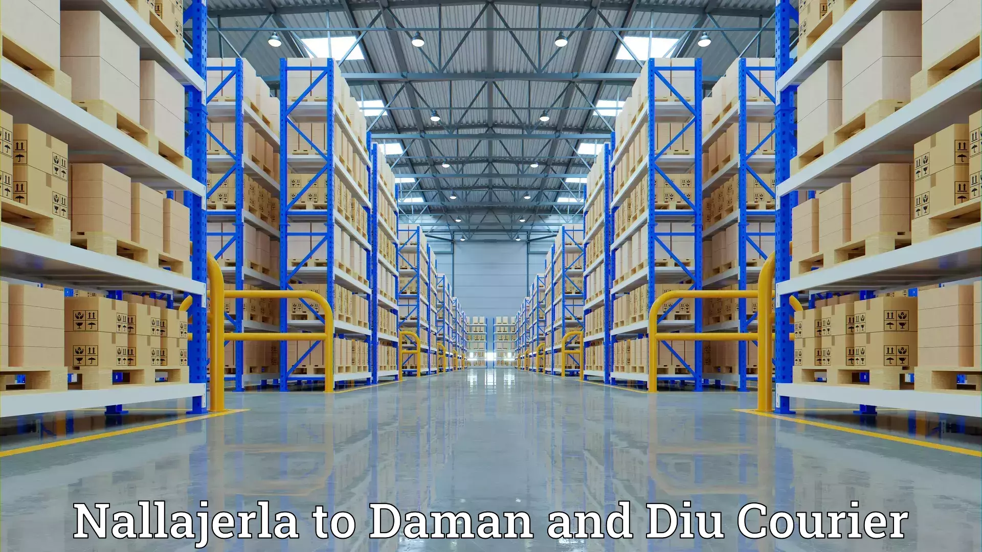 Comprehensive relocation services in Nallajerla to Daman and Diu