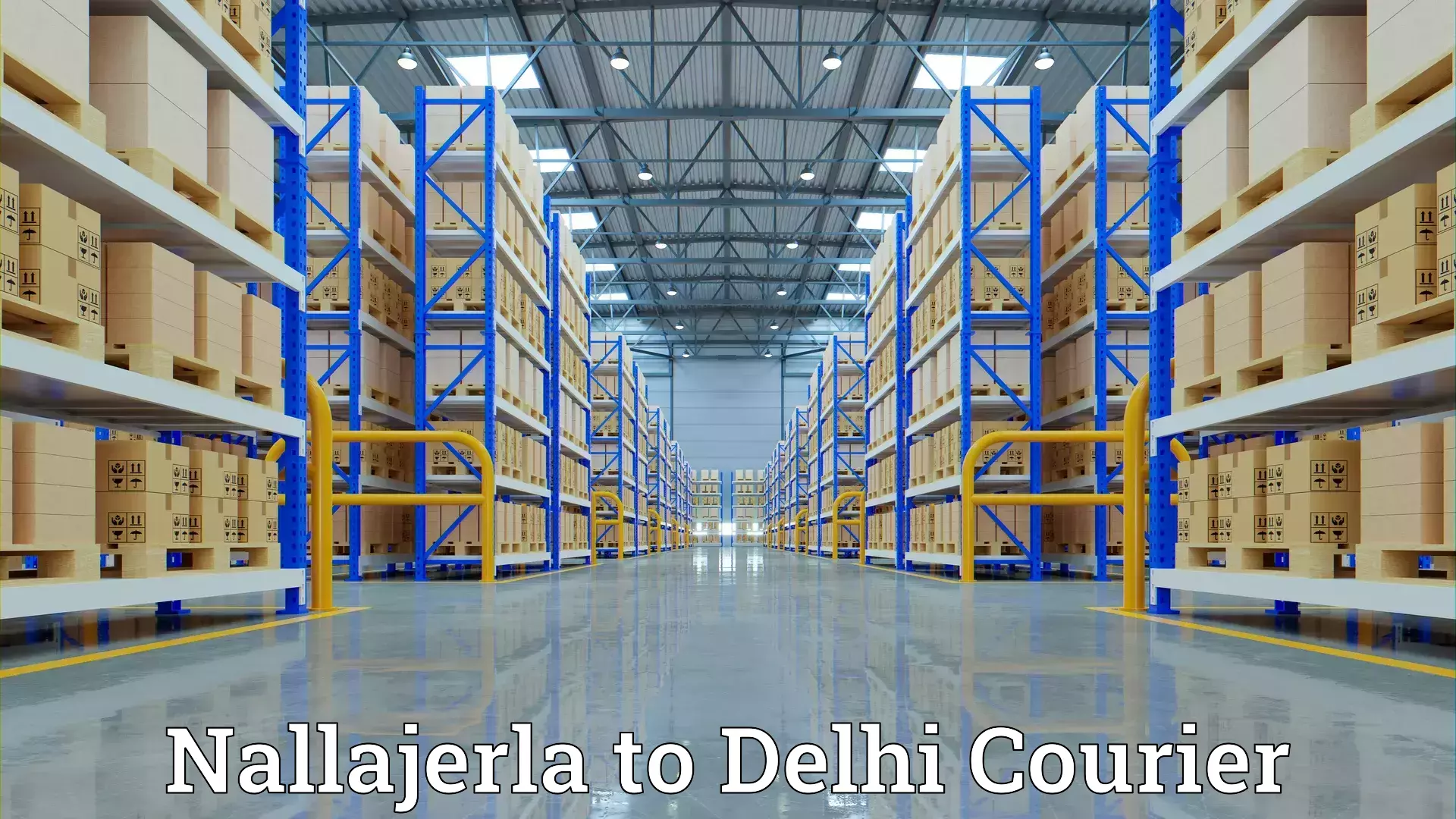 Household logistics services Nallajerla to University of Delhi