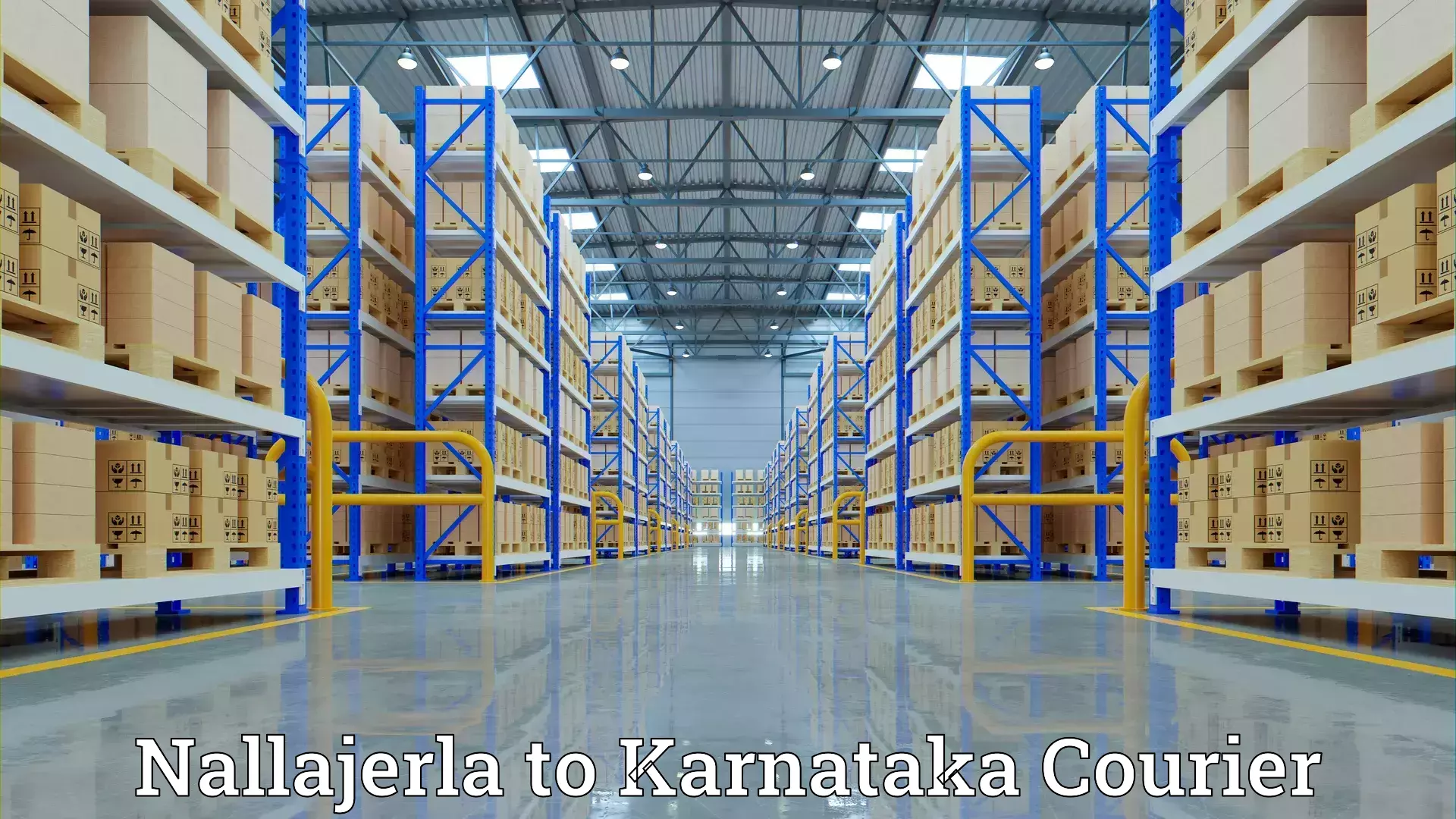 Professional home goods shifting Nallajerla to Turuvekere