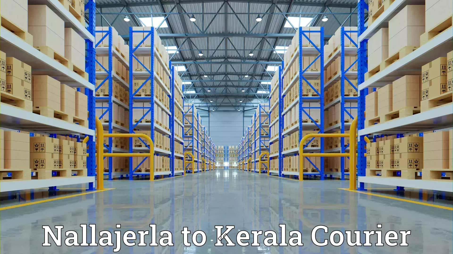 Furniture moving services Nallajerla to Kerala University Thiruvananthapuram