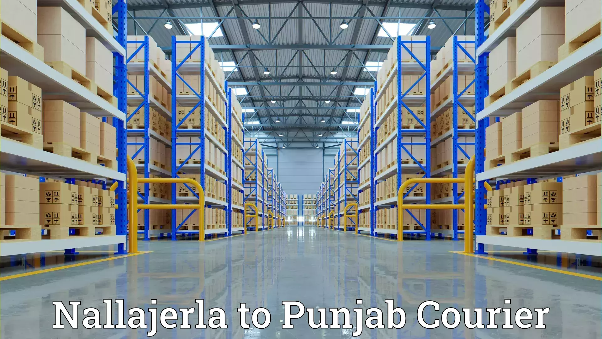 Custom relocation solutions Nallajerla to Rampura Phul