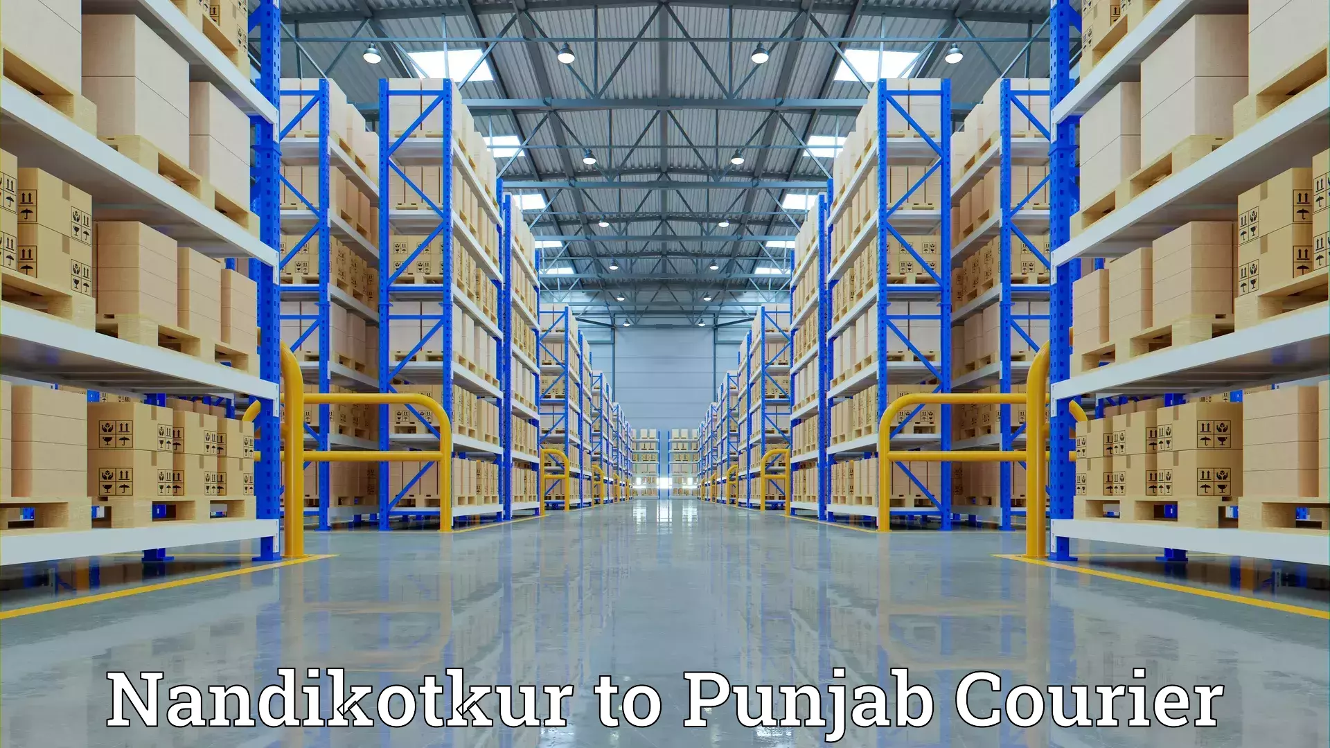 Advanced moving services Nandikotkur to Ludhiana