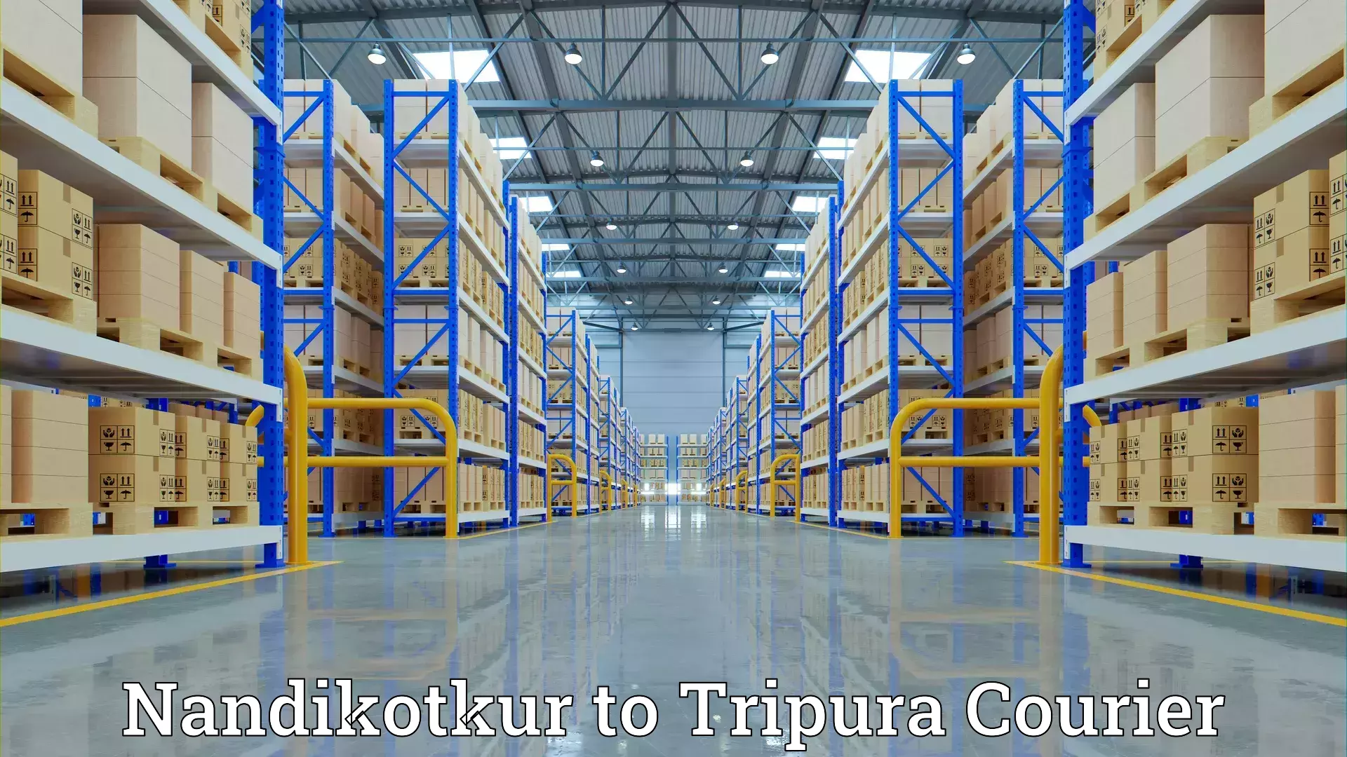 Reliable moving assistance Nandikotkur to Tripura