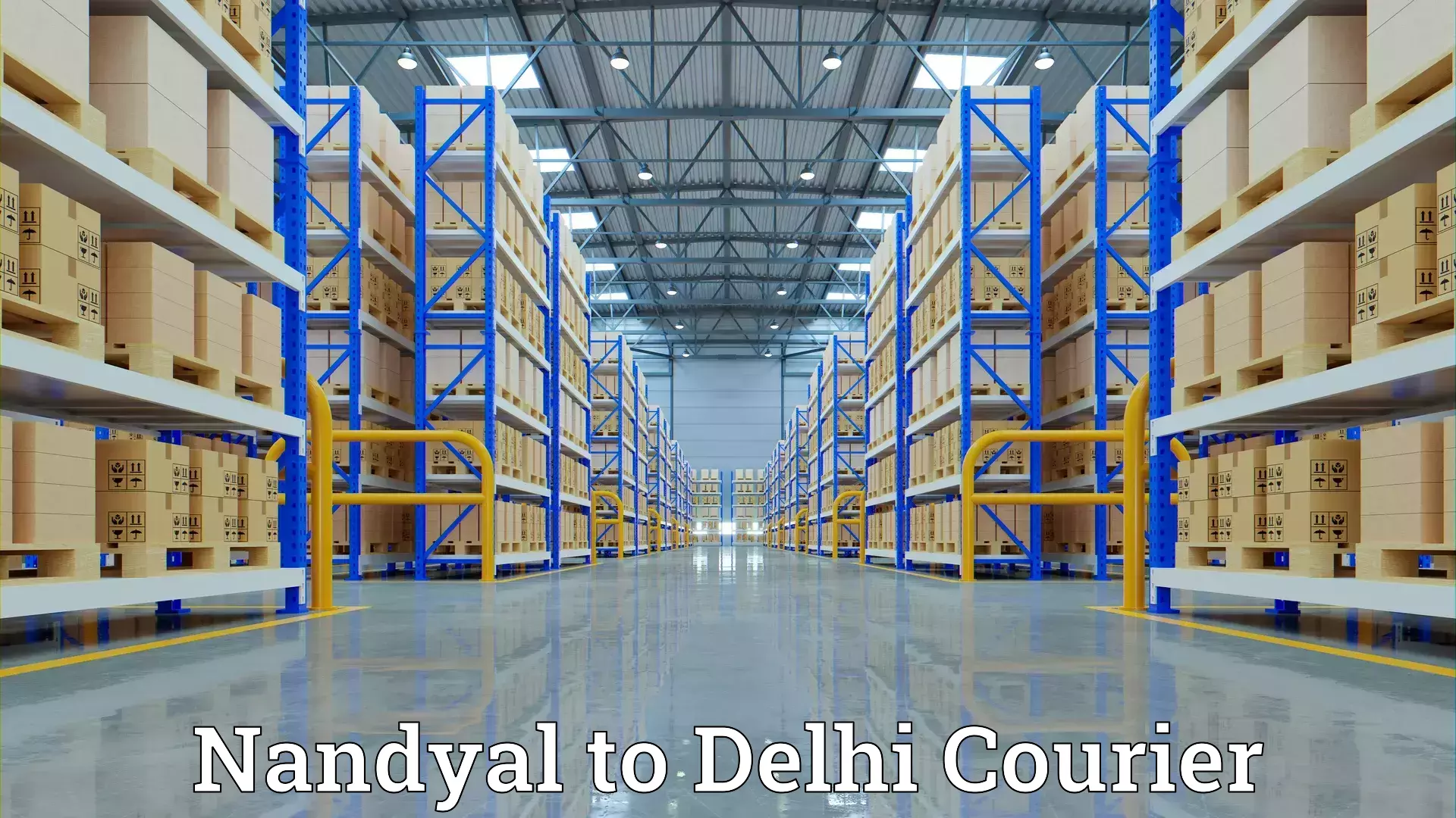 Quality moving and storage Nandyal to Delhi