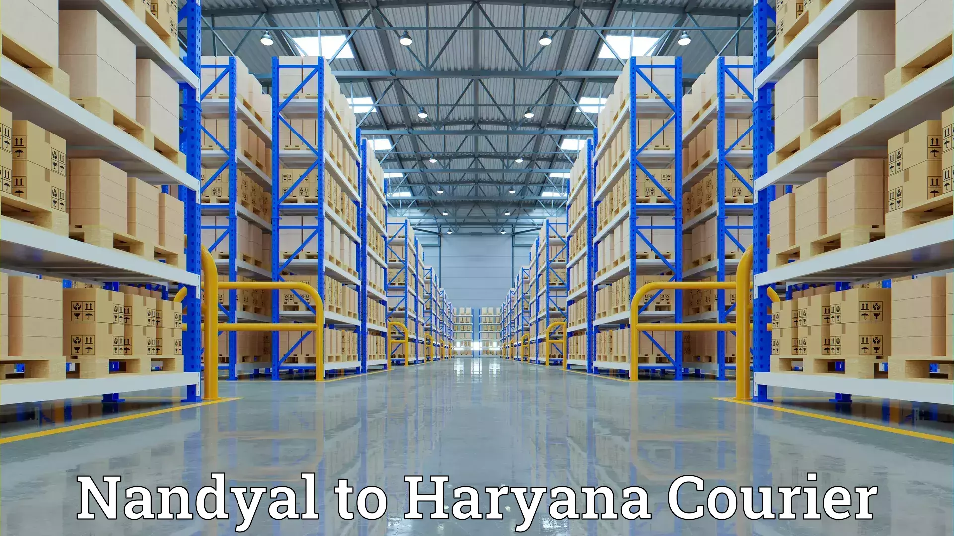 Home goods shifting Nandyal to Maharshi Dayanand University Rohtak