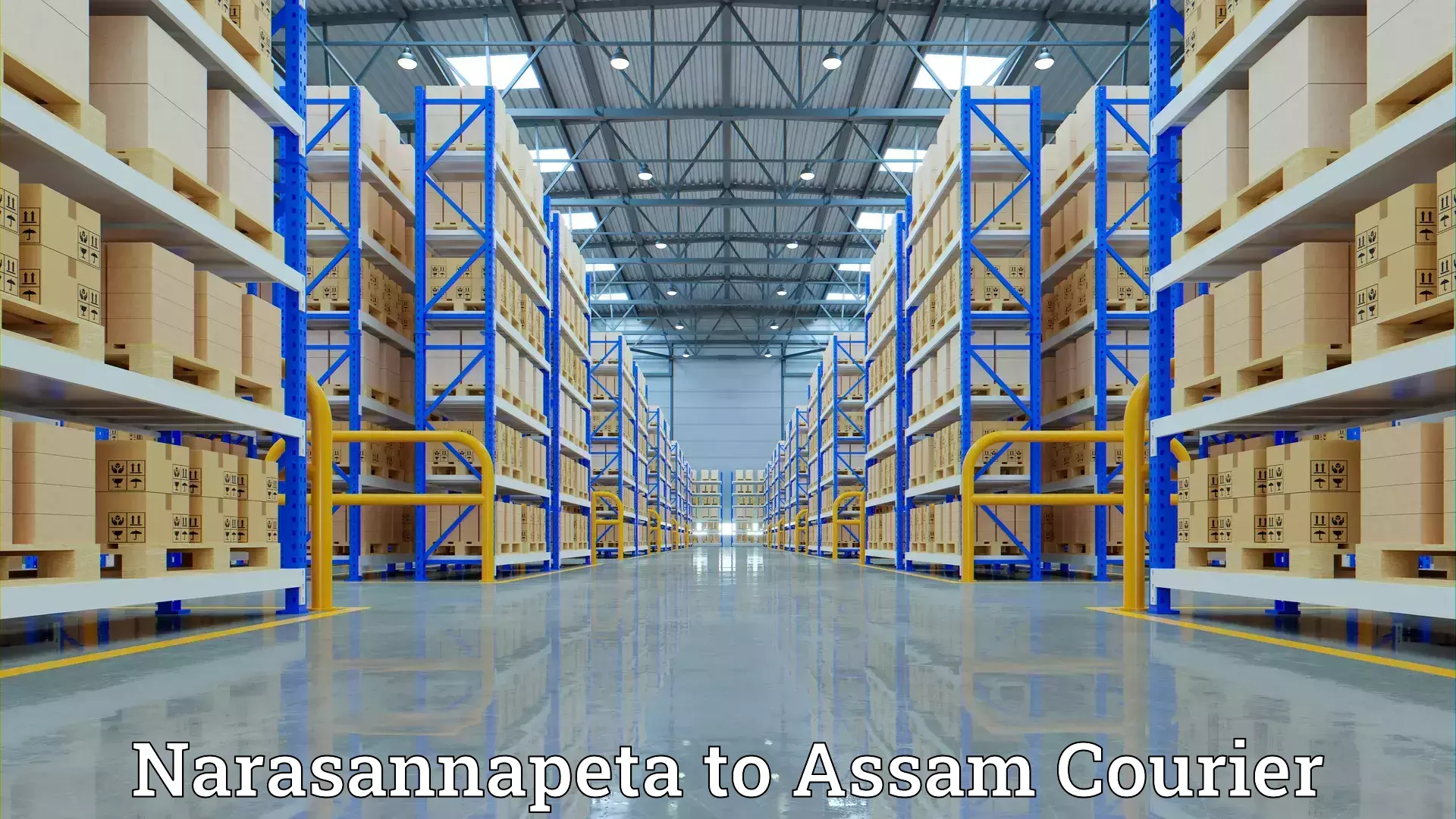 Furniture moving experts Narasannapeta to Diphu