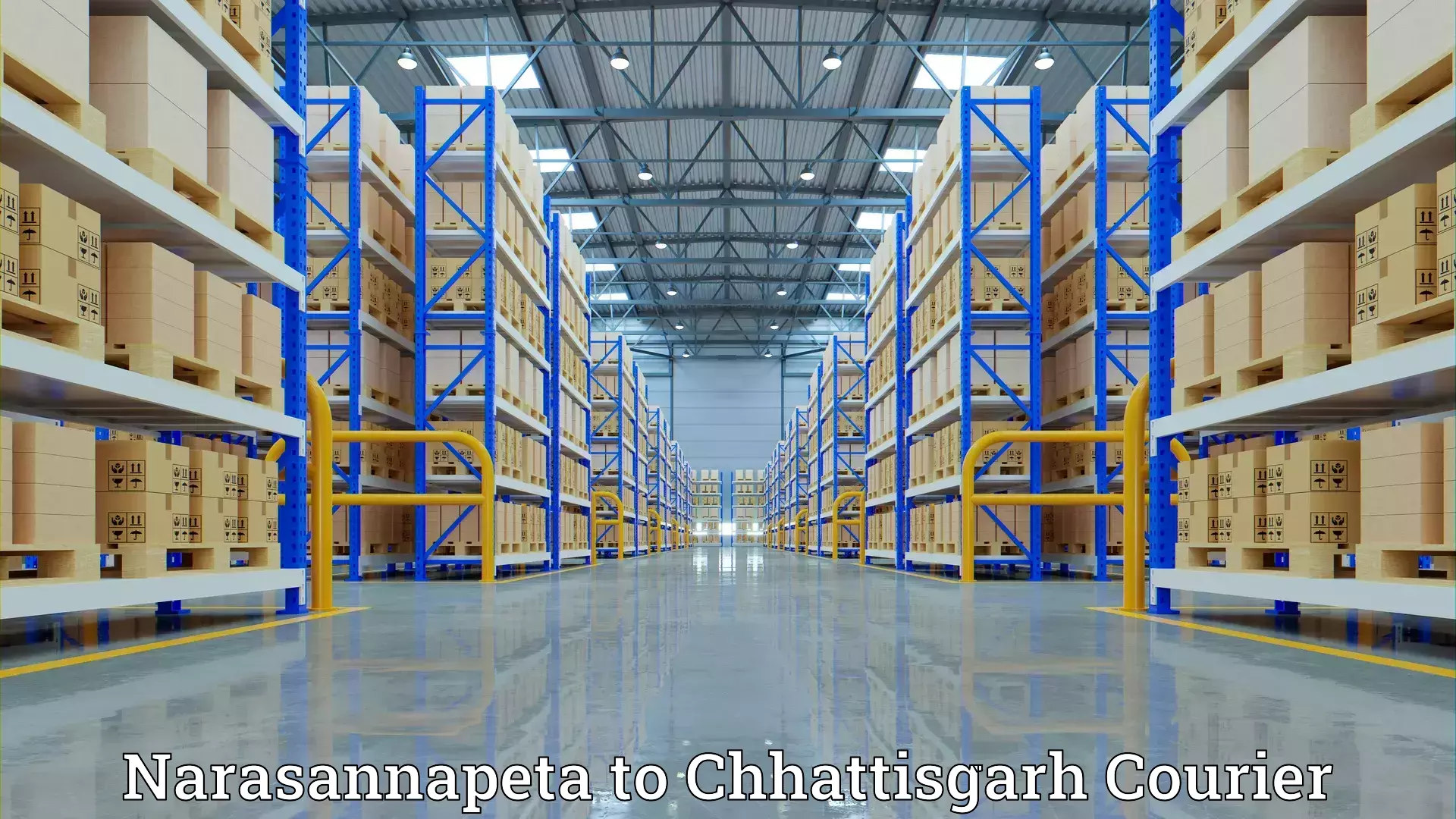 Home relocation experts Narasannapeta to Janjgir Champa