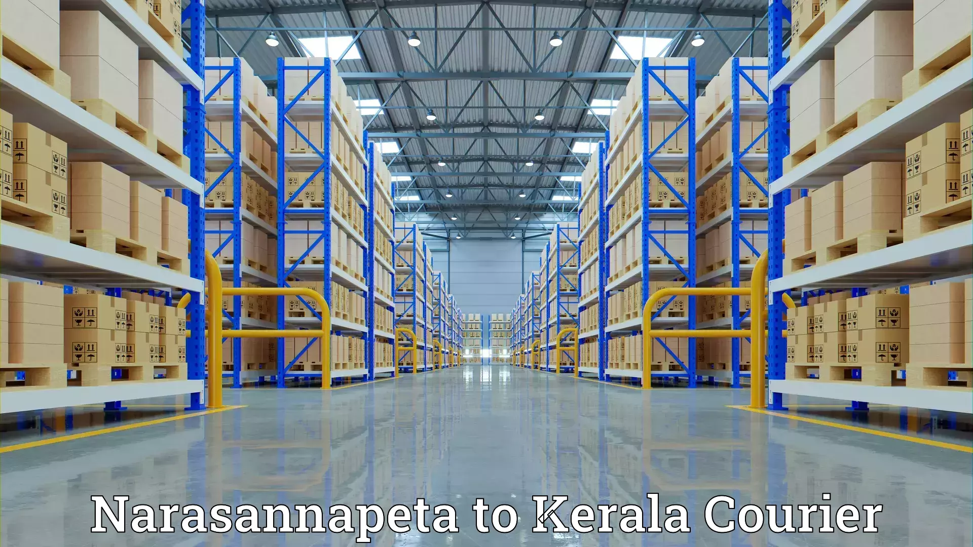 Professional moving company Narasannapeta to Kottarakkara