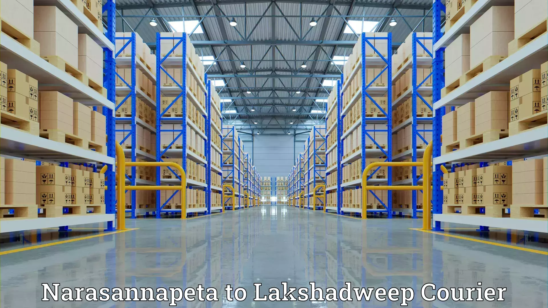 Quick household relocation Narasannapeta to Lakshadweep