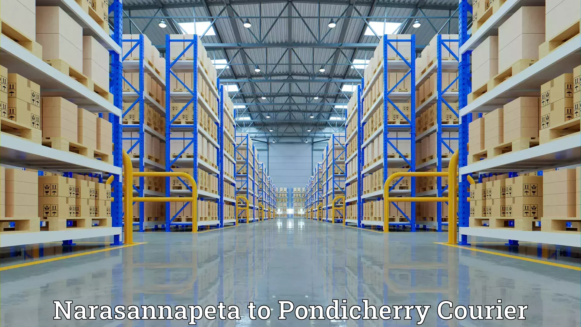 Customized relocation services Narasannapeta to Pondicherry University