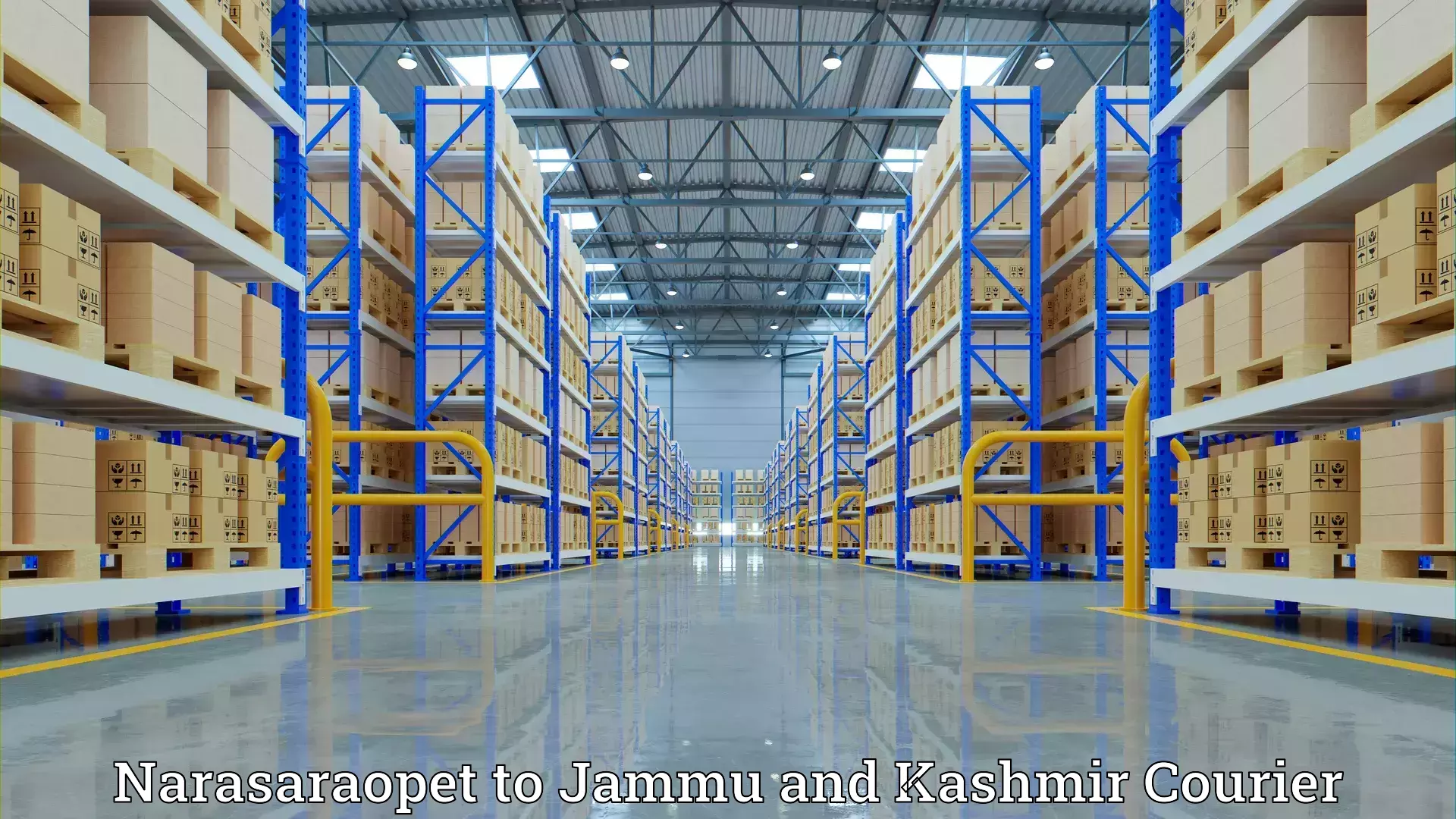 Furniture transport professionals Narasaraopet to Jammu