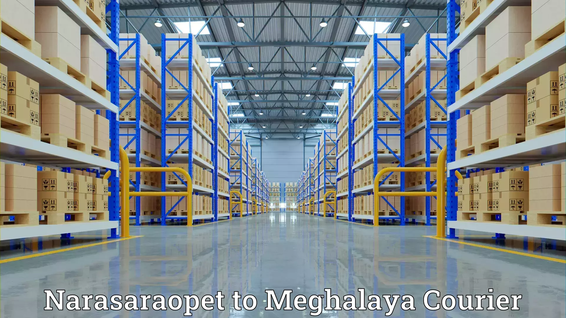 Professional home relocation Narasaraopet to Meghalaya