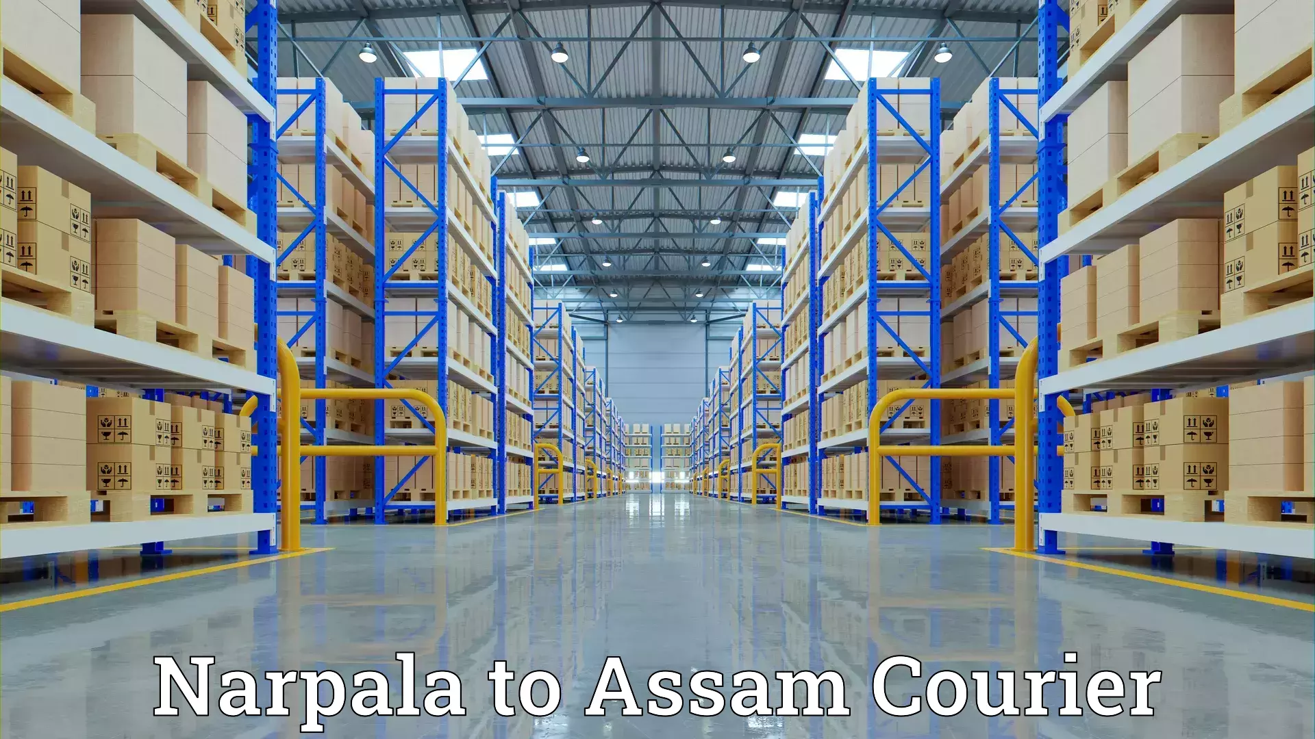 Furniture transport solutions Narpala to Assam