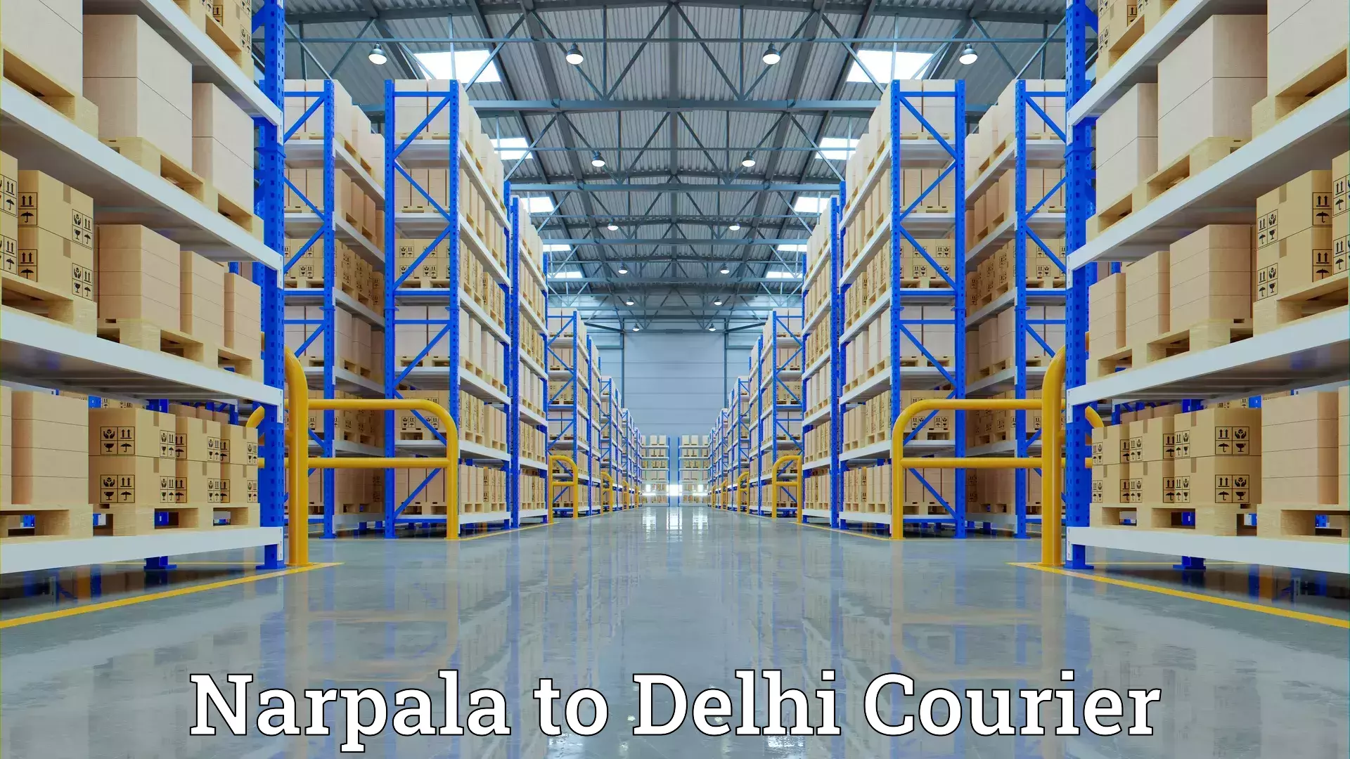 Quality moving services Narpala to Delhi