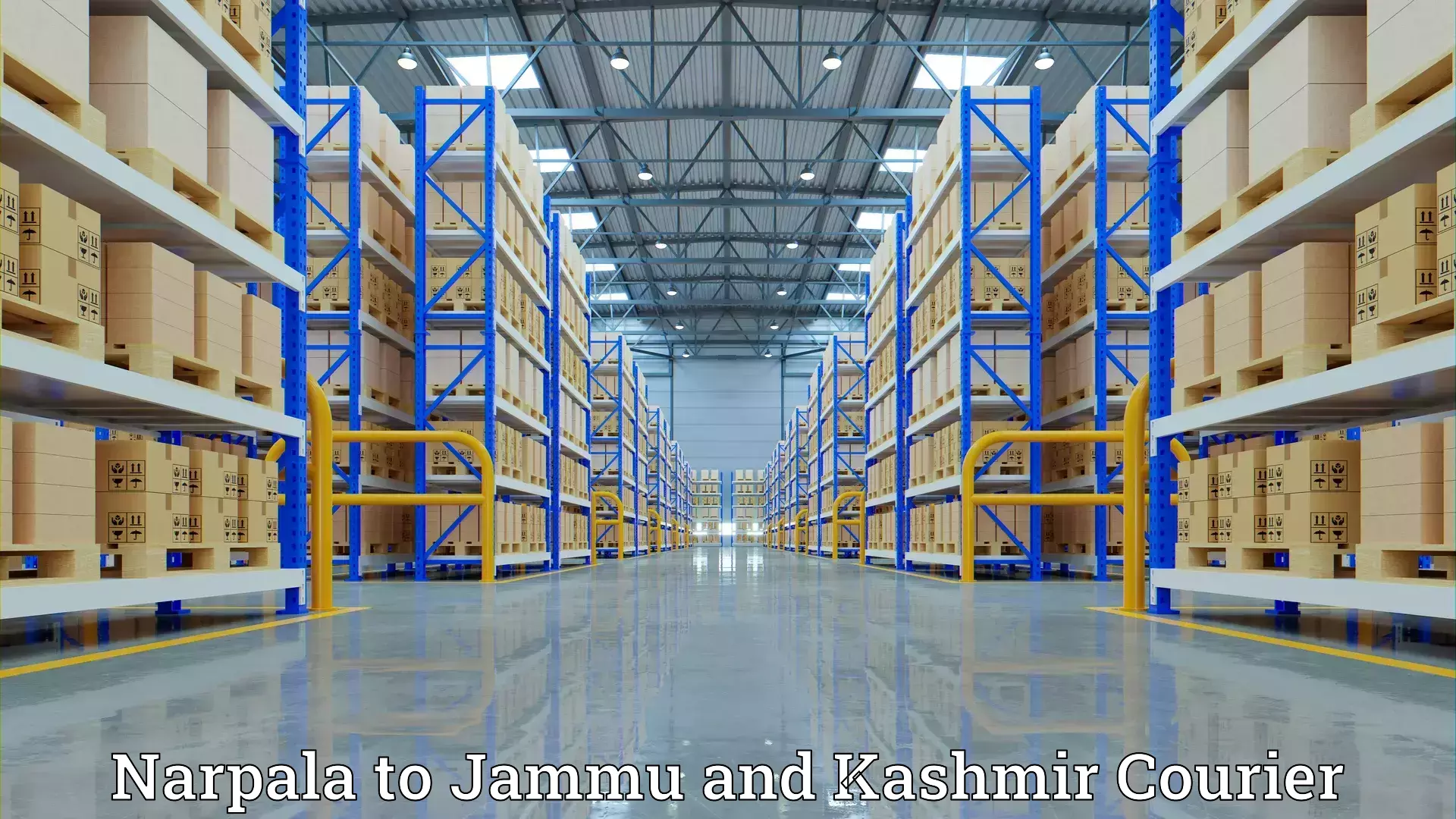 Professional packing services Narpala to University of Jammu