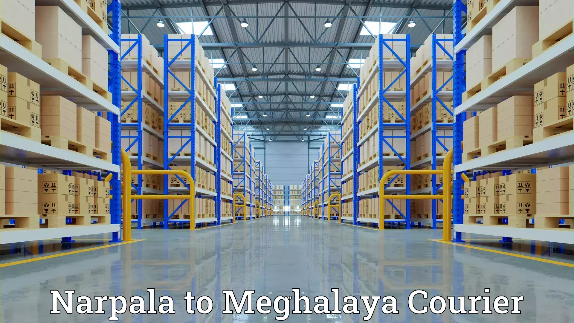 Professional home goods transport Narpala to Meghalaya