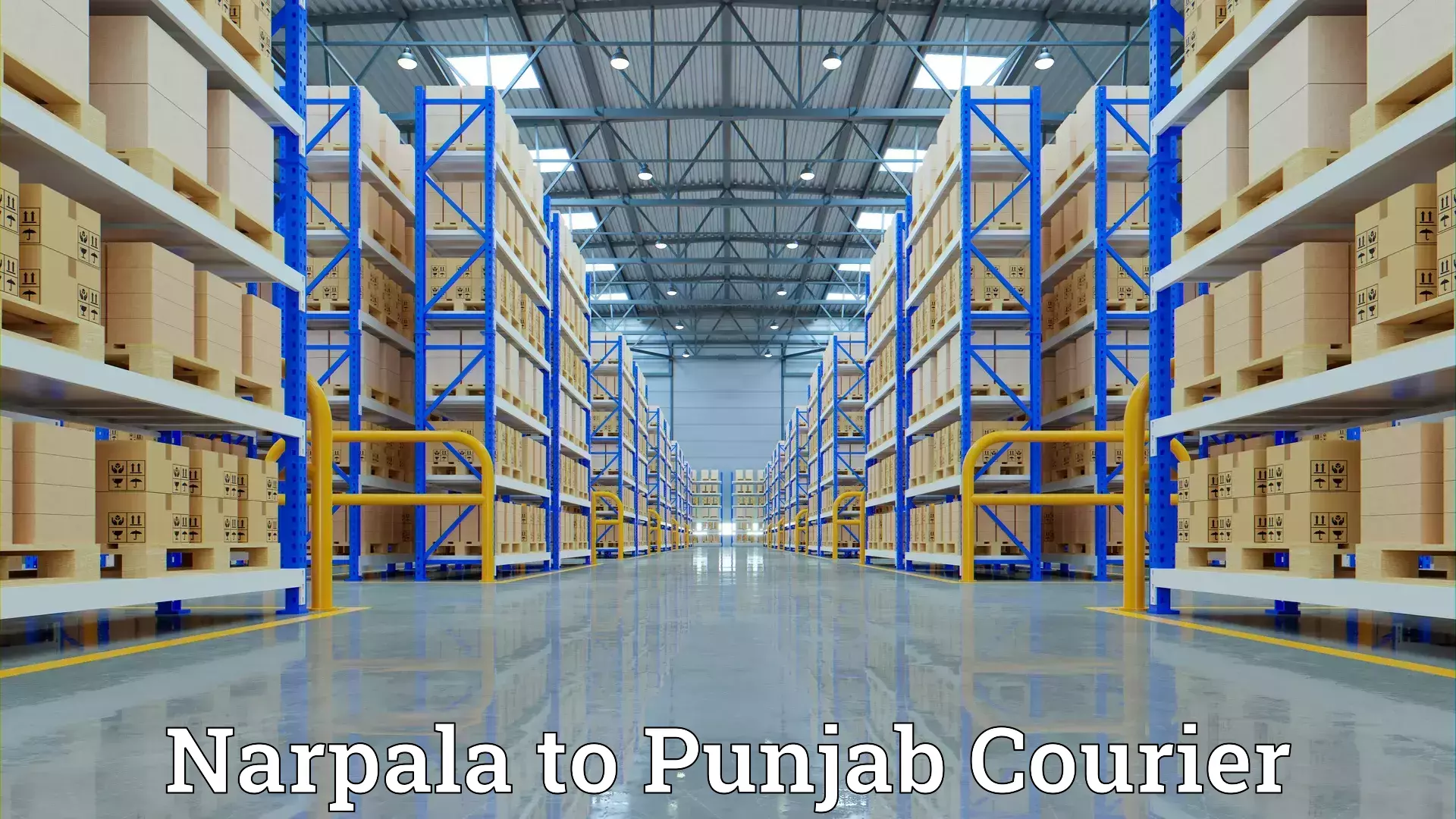 Quick household relocation in Narpala to Punjab