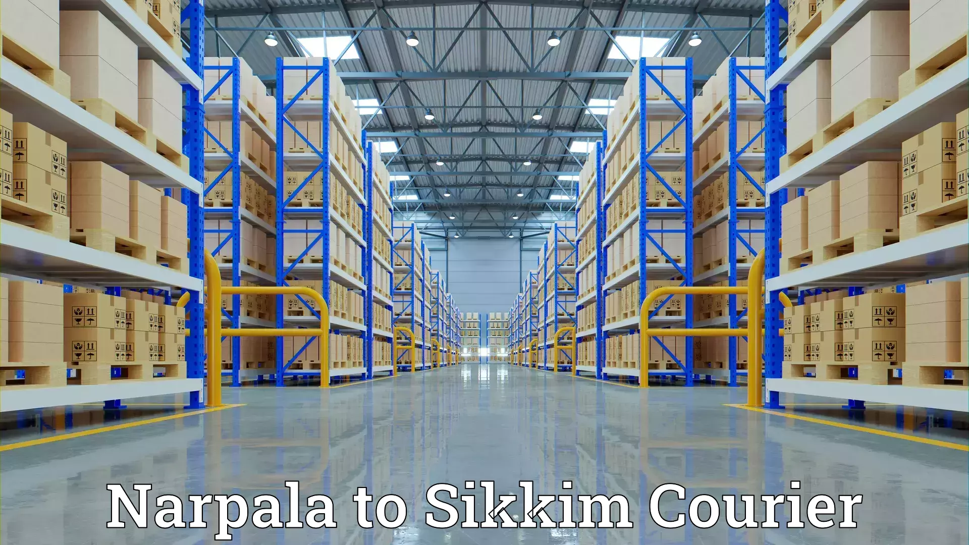 Furniture transport and storage Narpala to Sikkim