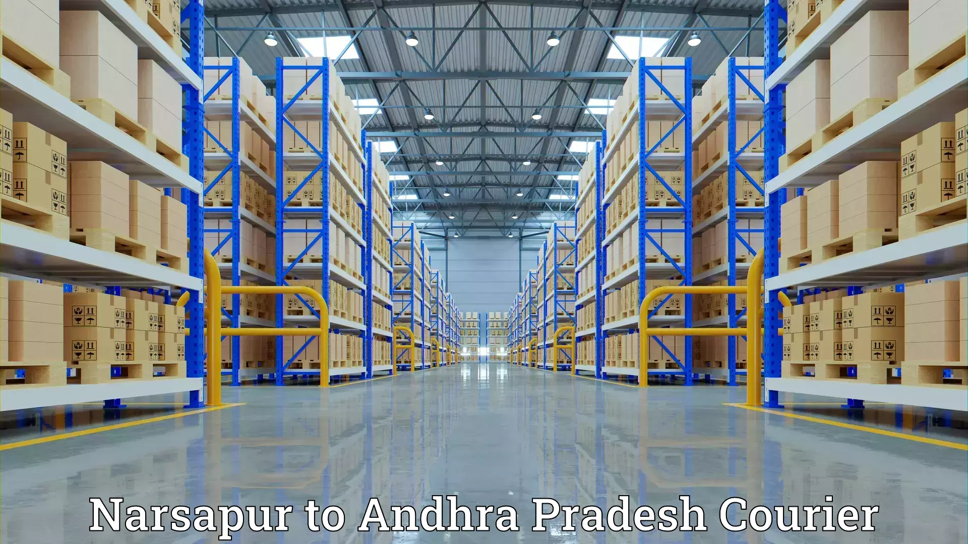 Personalized moving and storage Narsapur to Tadipatri