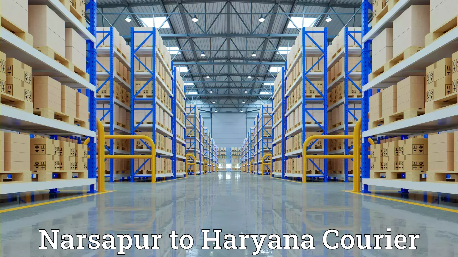 Quality relocation services Narsapur to Pinjore