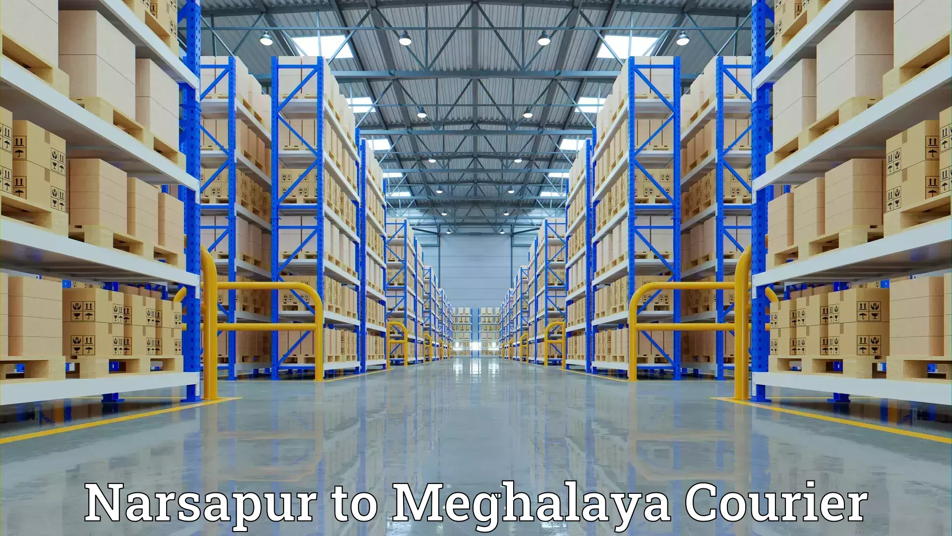 Quality moving and storage Narsapur to Tikrikilla