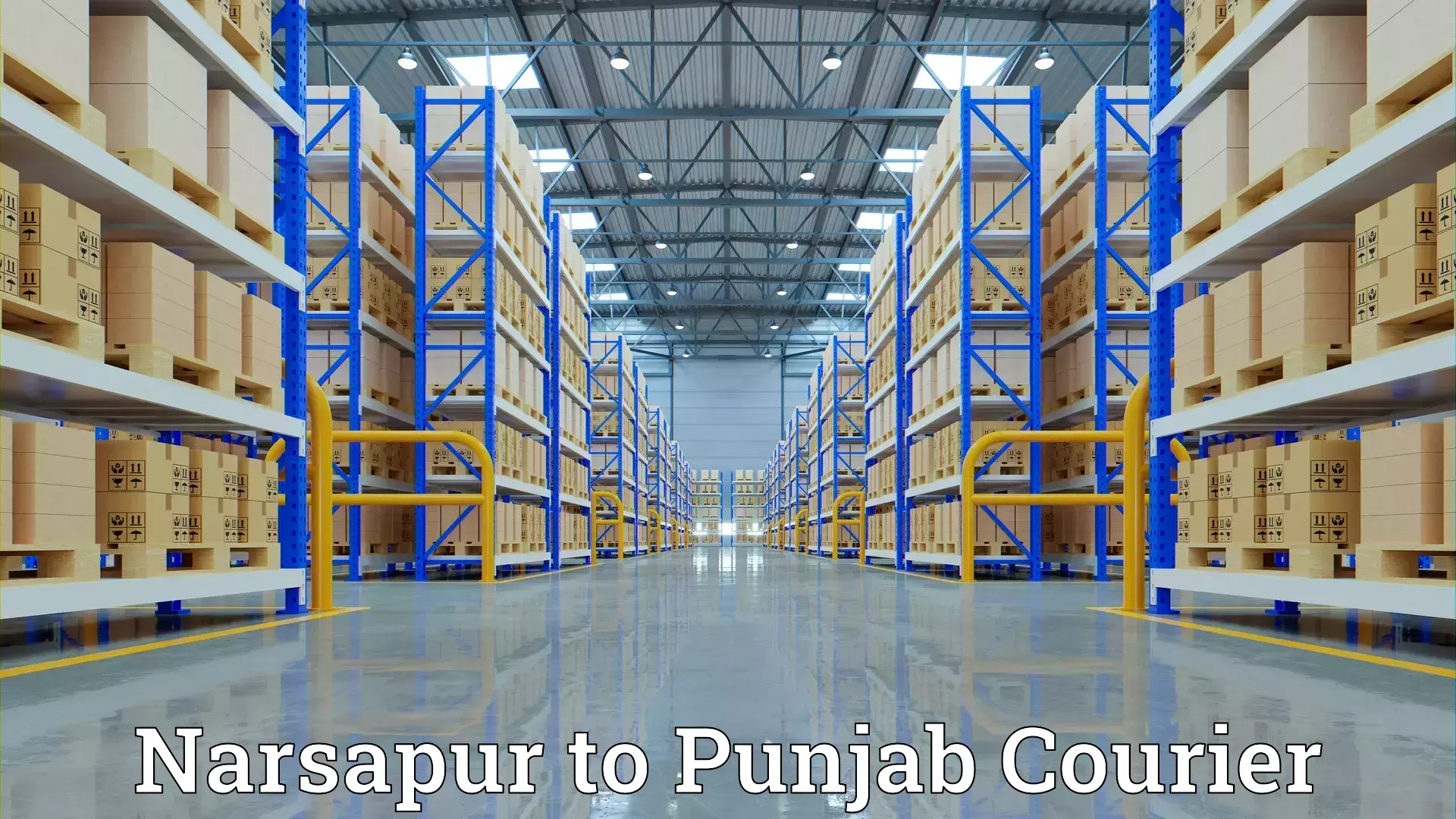 Furniture transport professionals in Narsapur to Fazilka