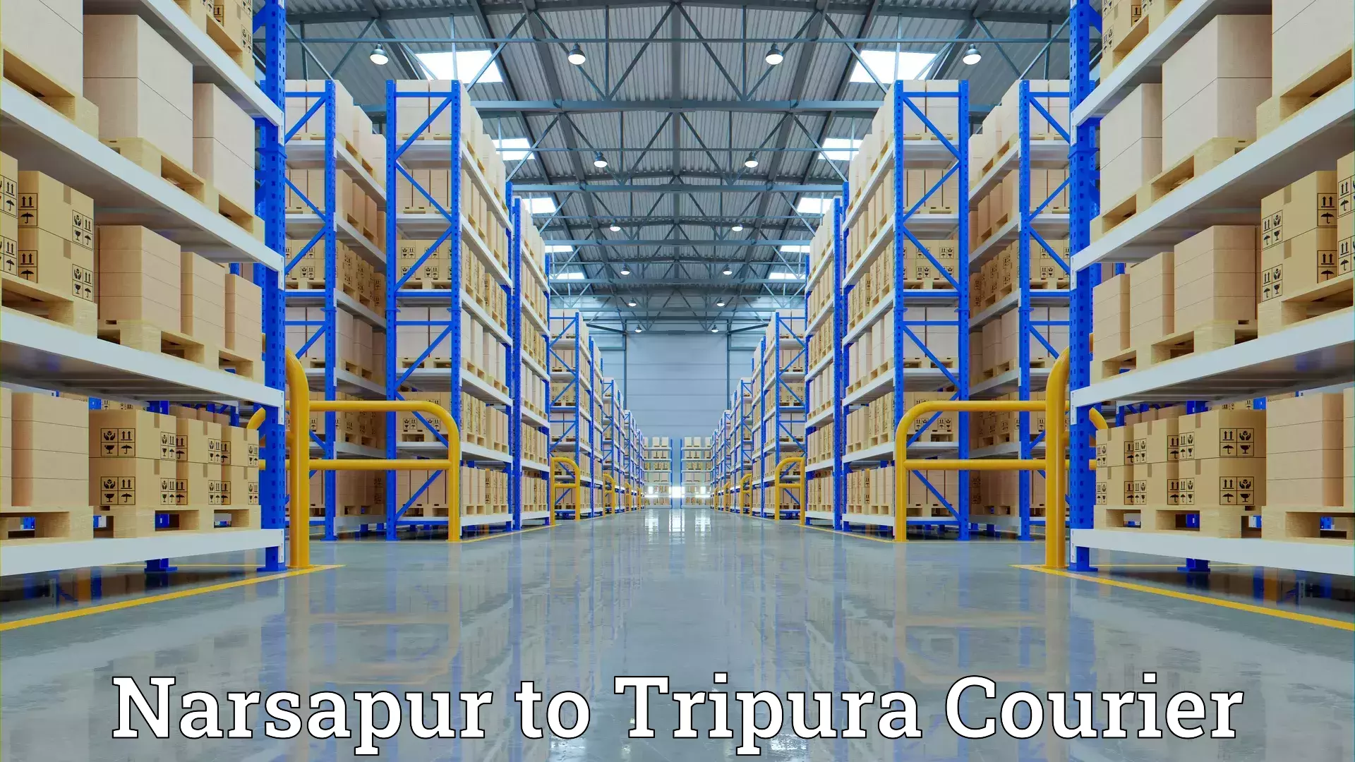 Customized moving solutions Narsapur to Tripura