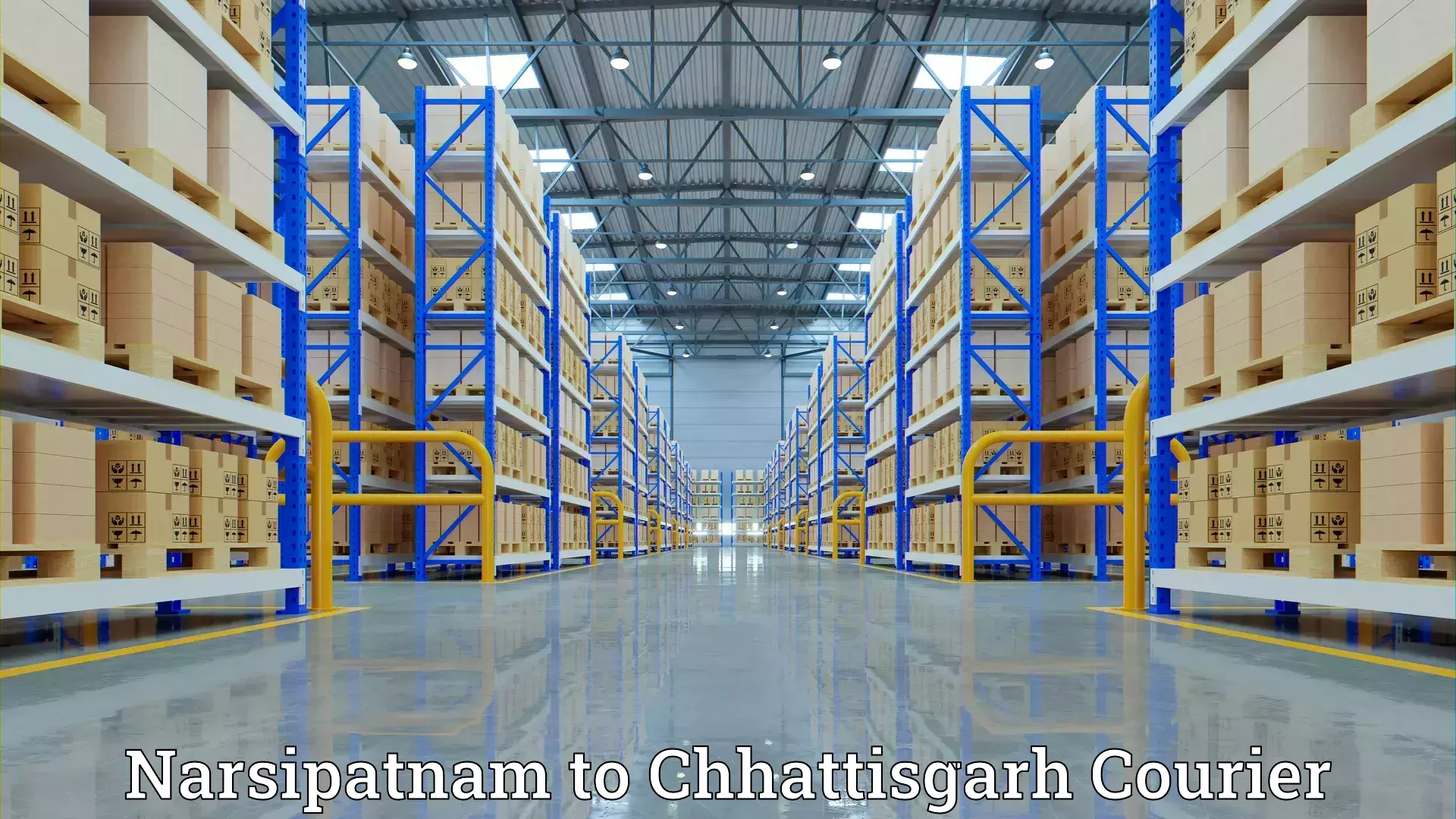 Custom relocation solutions Narsipatnam to Bhilai