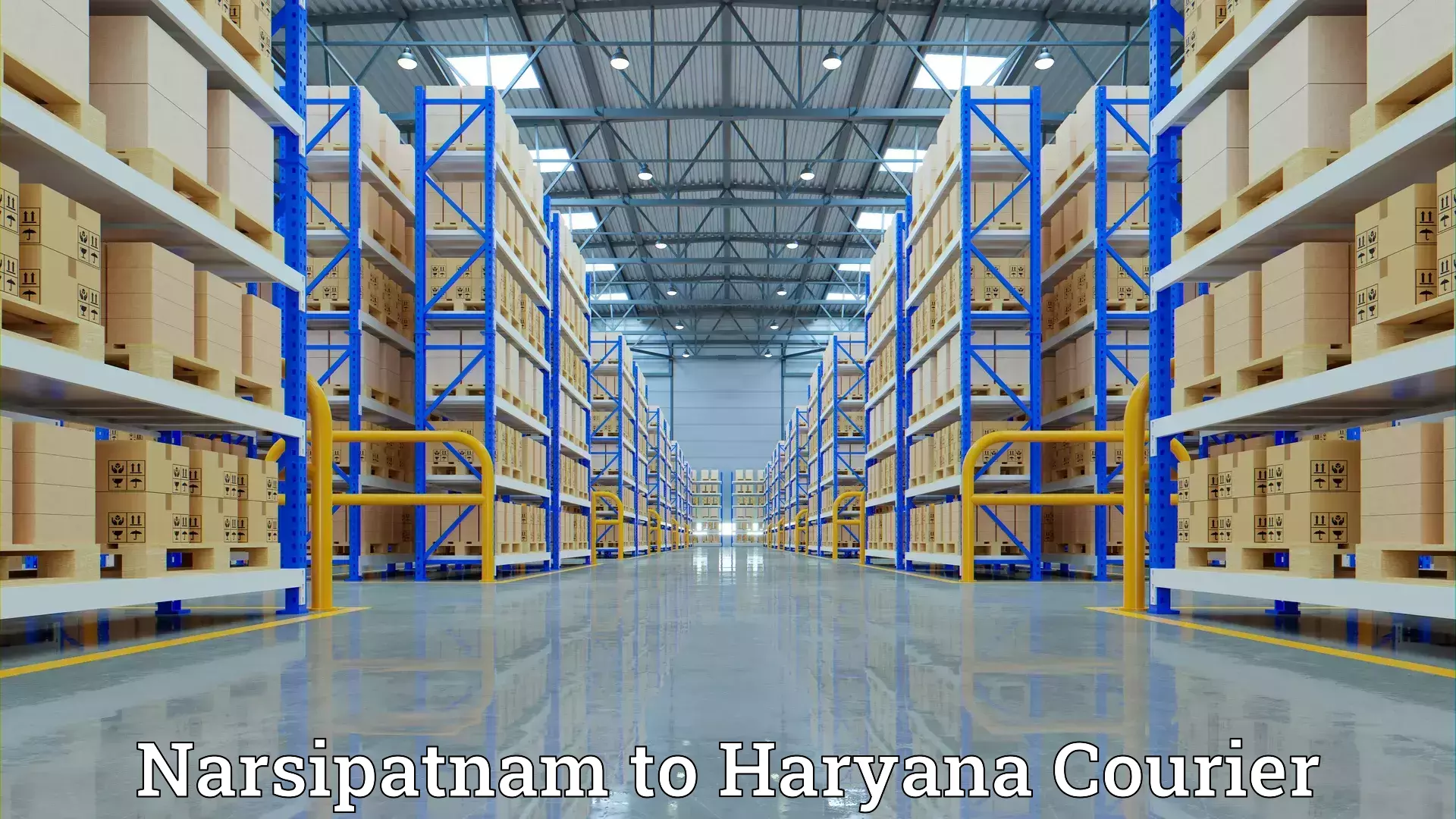 Quick relocation services Narsipatnam to Haryana