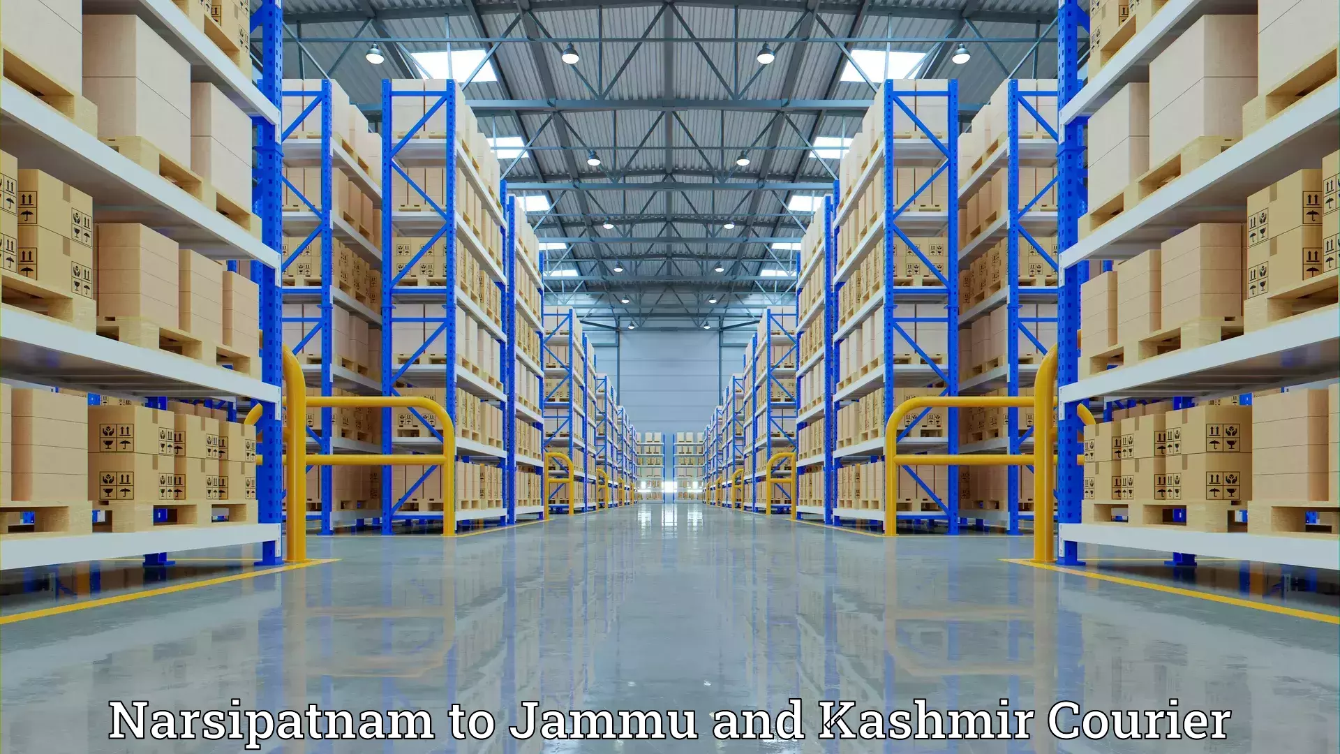 High-quality moving services Narsipatnam to Jammu and Kashmir