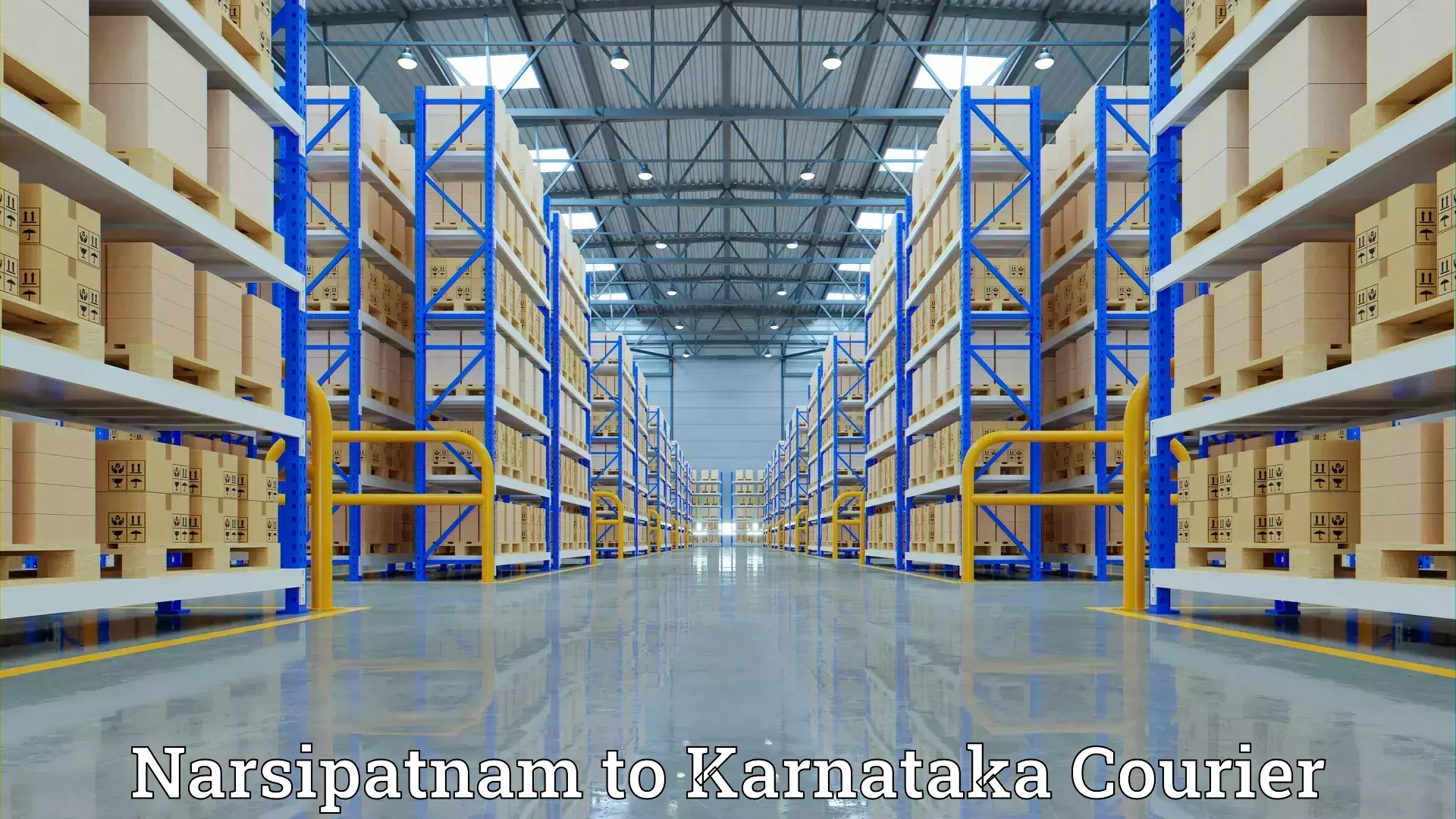 Furniture moving experts in Narsipatnam to Karnataka