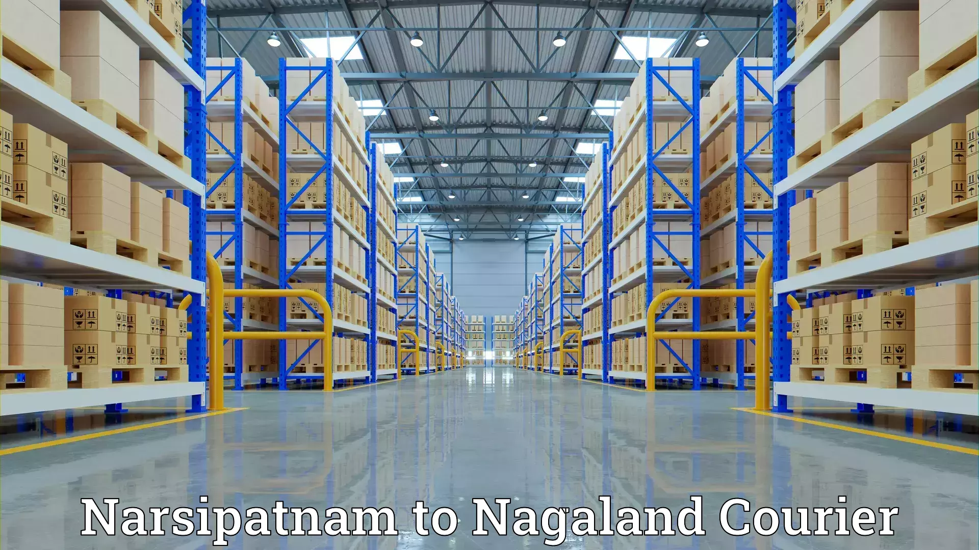 Quality household movers Narsipatnam to Nagaland