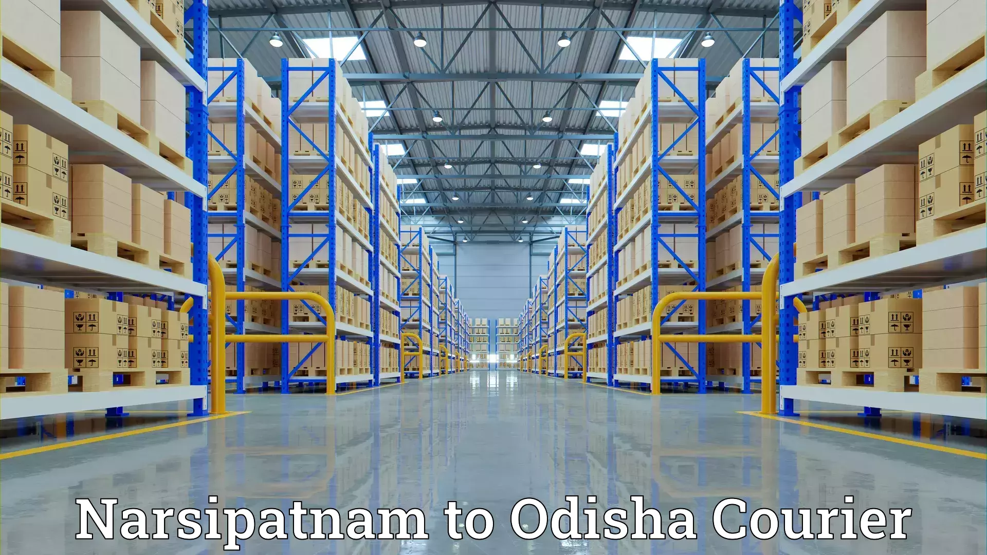 Efficient relocation services Narsipatnam to Odisha