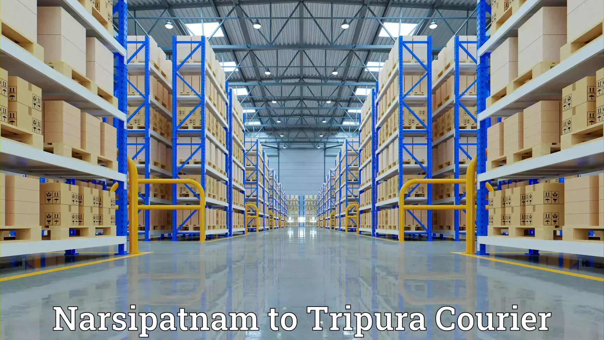 Smooth relocation services Narsipatnam to Tripura