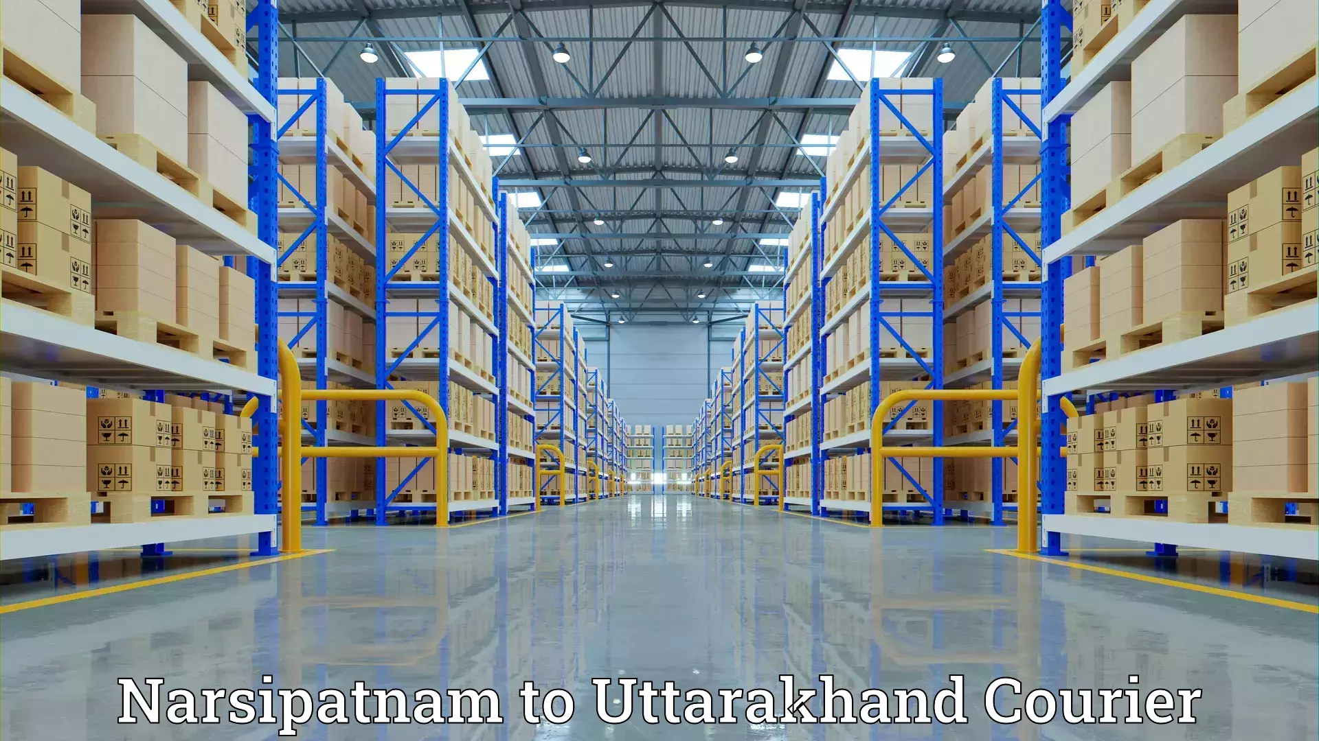 Advanced moving solutions Narsipatnam to Uttarakhand