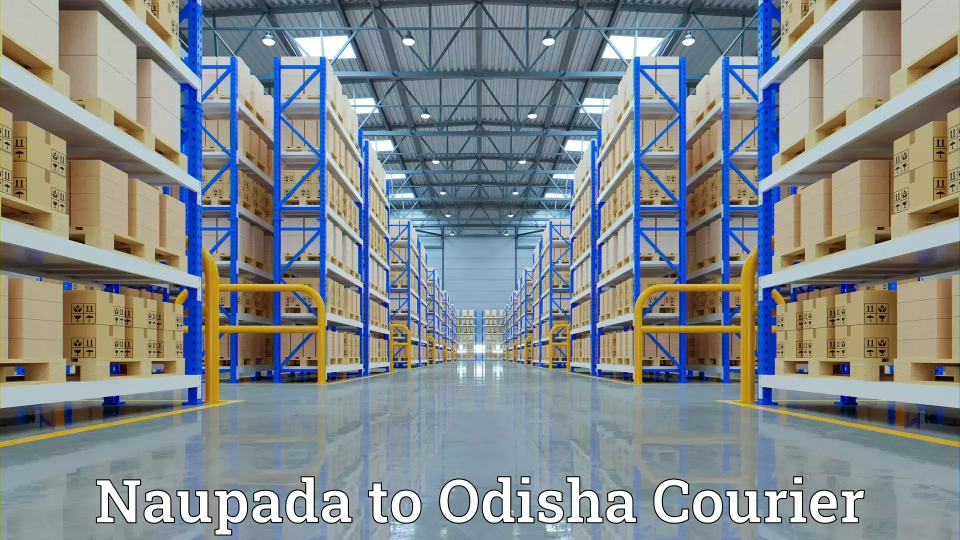 Custom moving and storage Naupada to Odisha