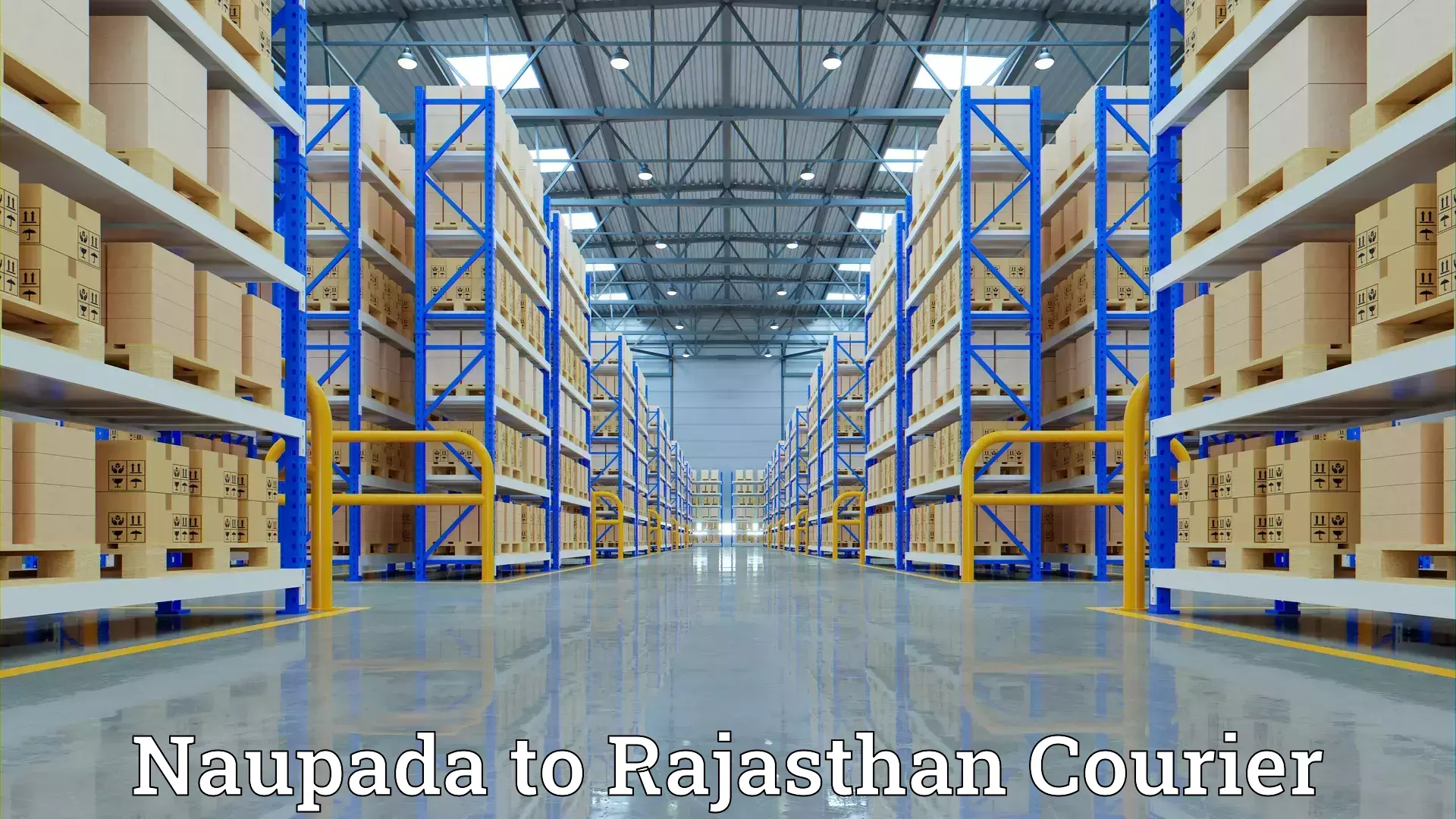 Custom relocation solutions Naupada to Srimadhopur