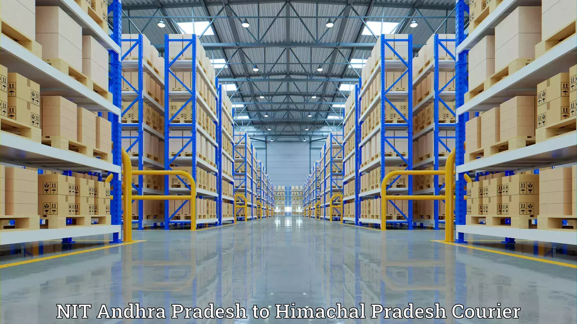 Household logistics services NIT Andhra Pradesh to Dulchehra