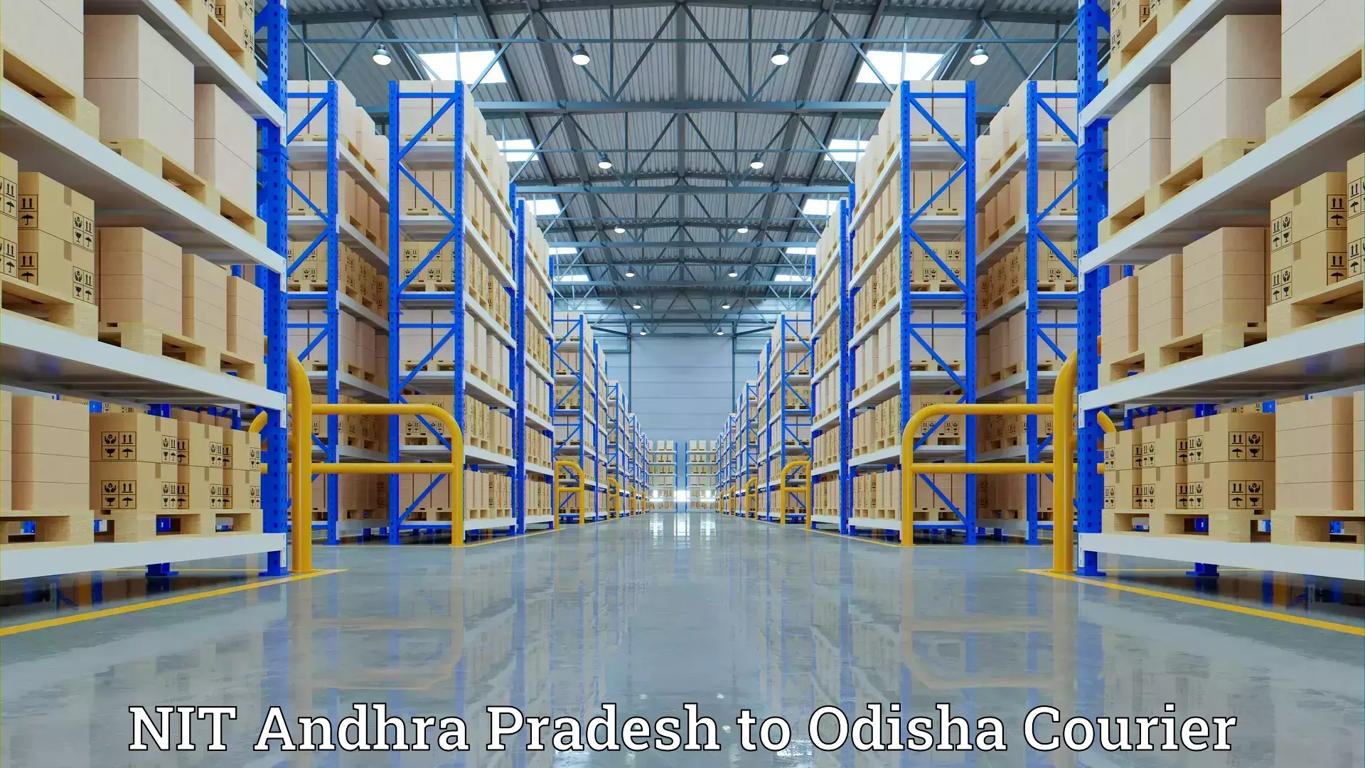 Moving and packing experts NIT Andhra Pradesh to Baisinga