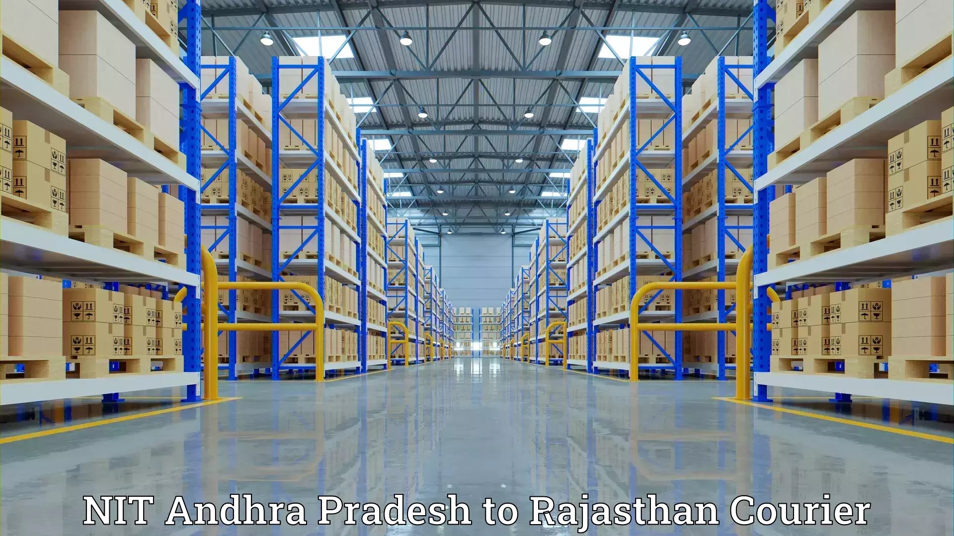 Cost-effective moving options NIT Andhra Pradesh to Udaipurwati