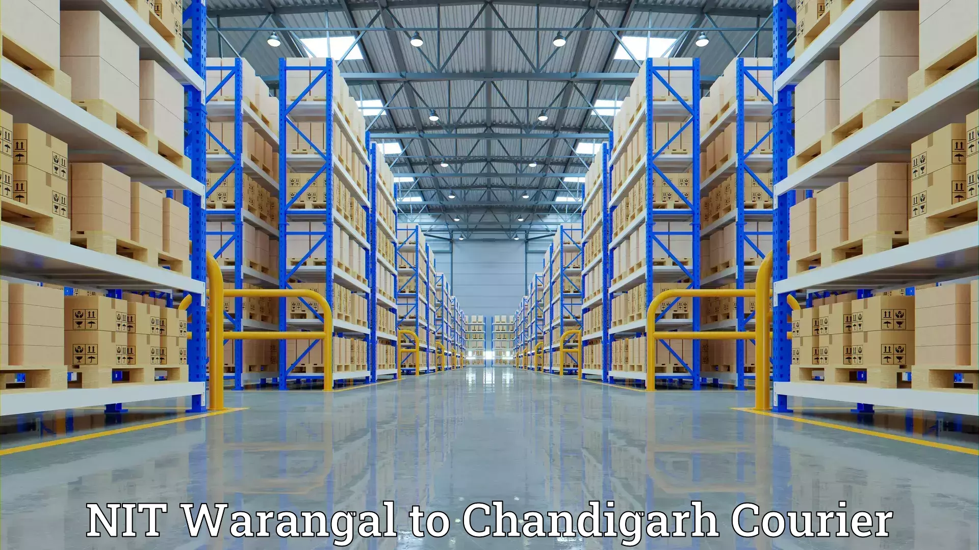 Residential moving services NIT Warangal to Kharar